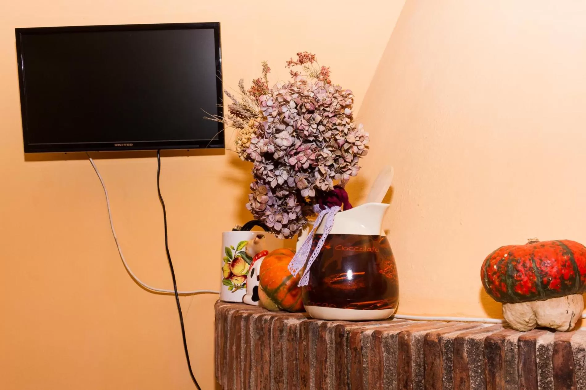 TV and multimedia in Montanari Agrivillage