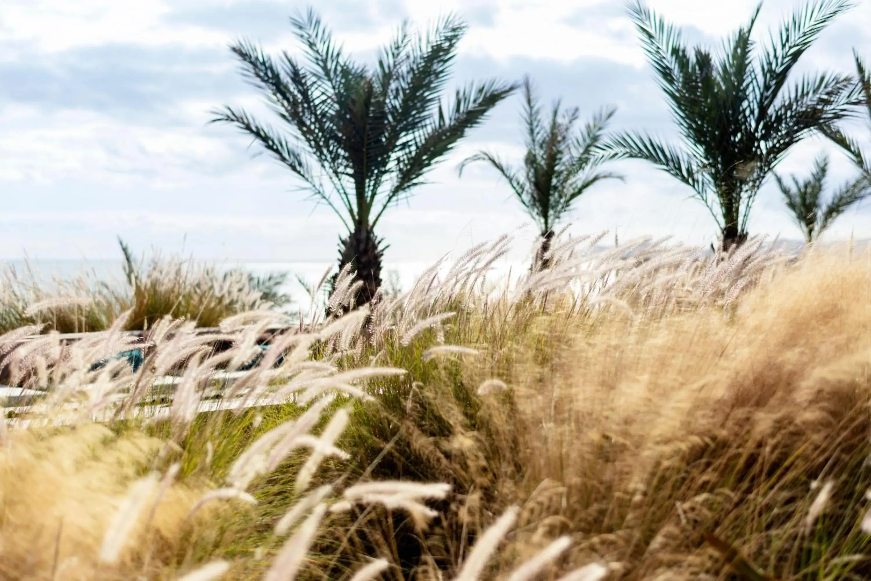 Property building, Winter in Casa Maat at JW Marriott Los Cabos Beach Resort & Spa