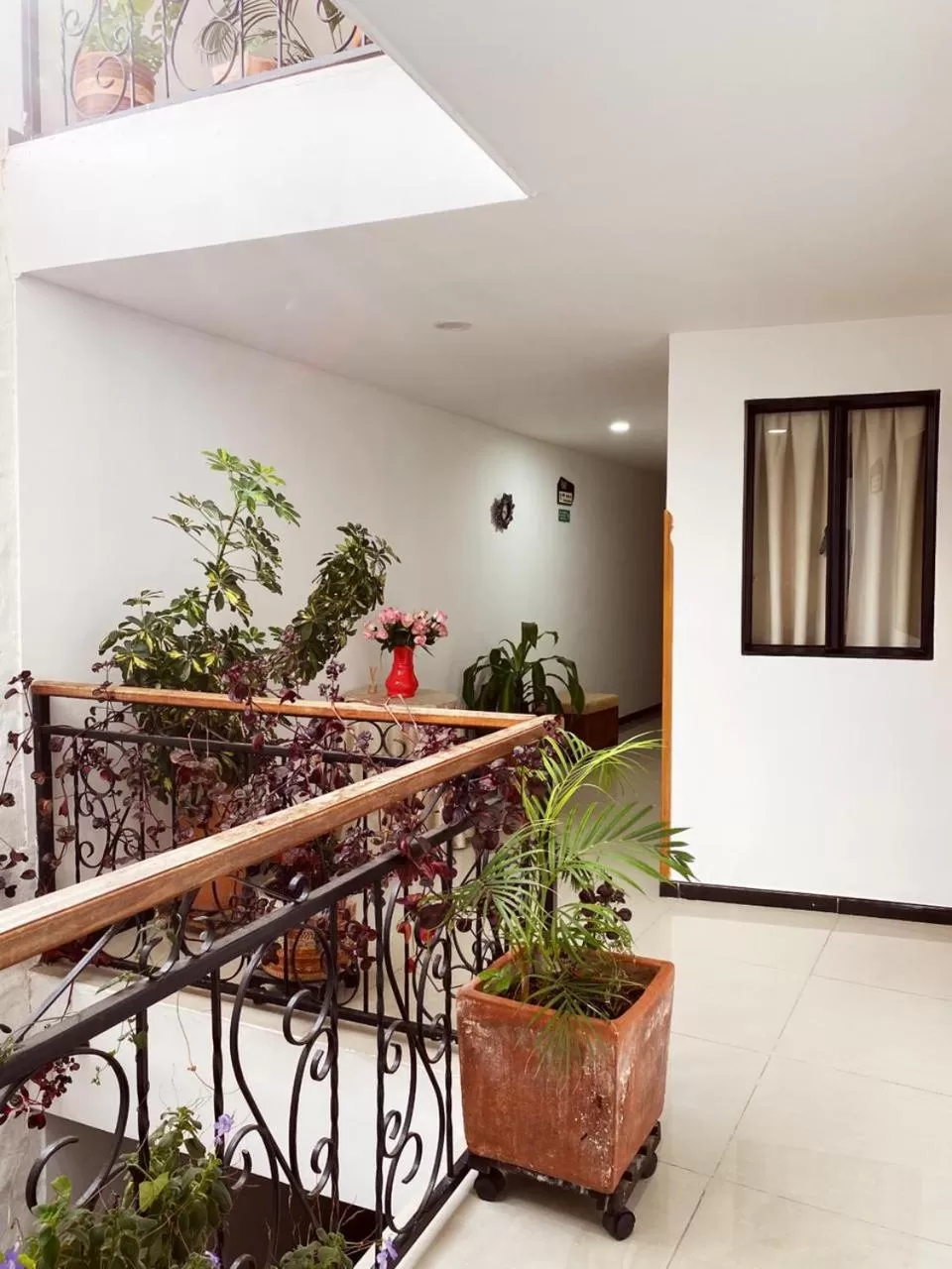 Area and facilities in Hotel Mirador de Santa Bárbara