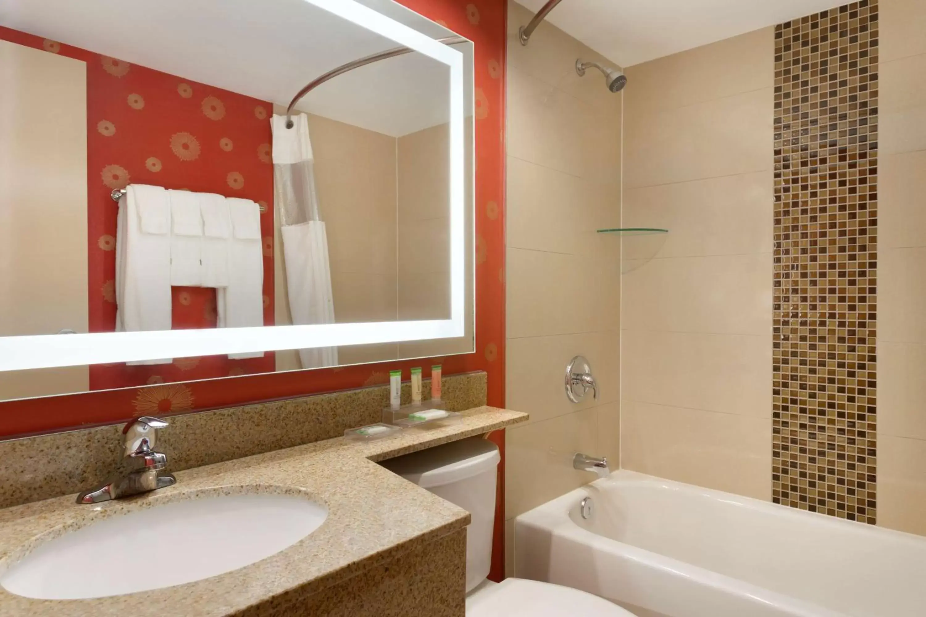 Bathroom in Park Inn by Radisson Toronto-Markham