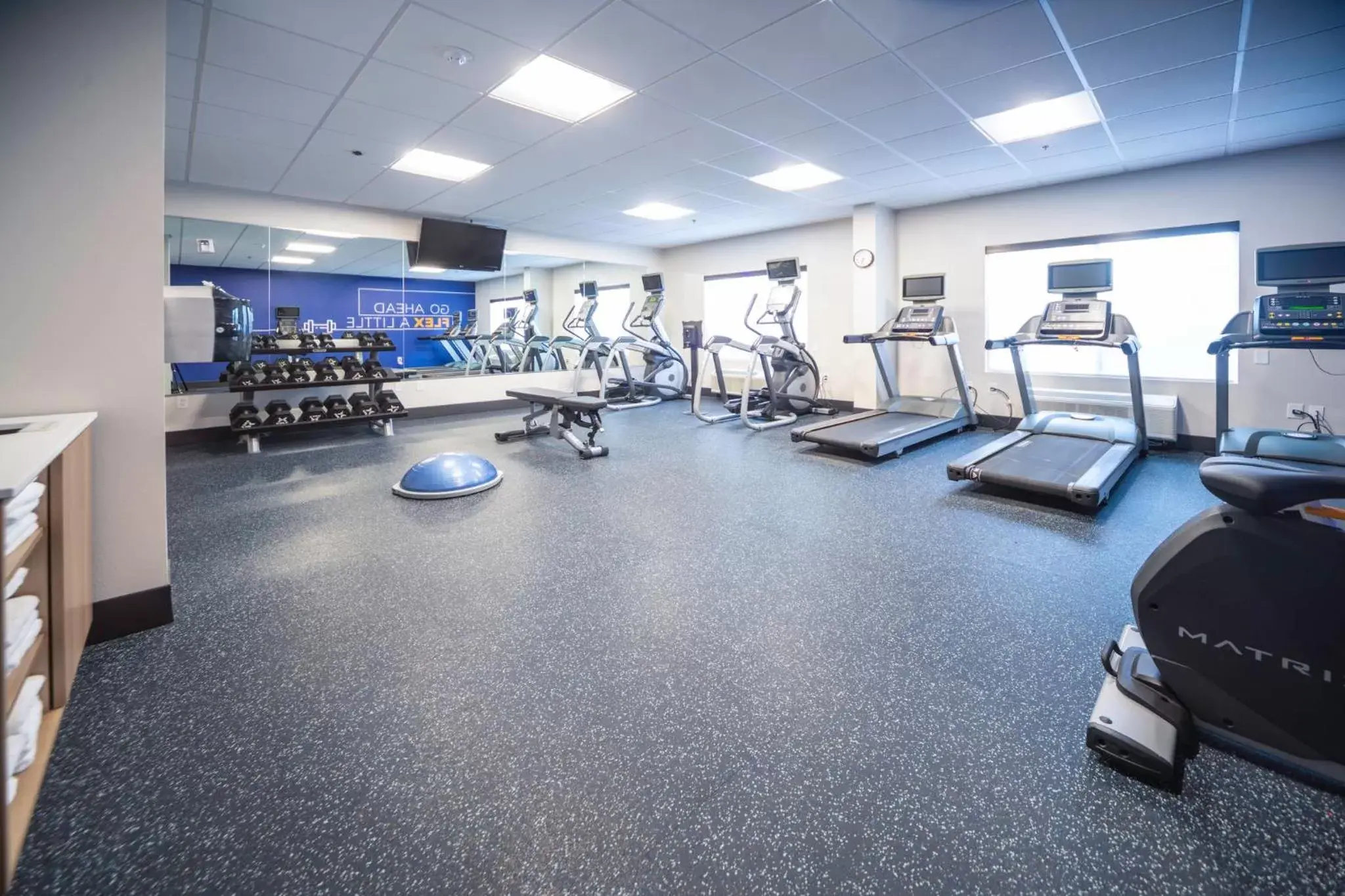 Fitness centre/facilities, Fitness Center/Facilities in Holiday Inn Express and Suites Atlanta-Johns Creek, an IHG Hotel