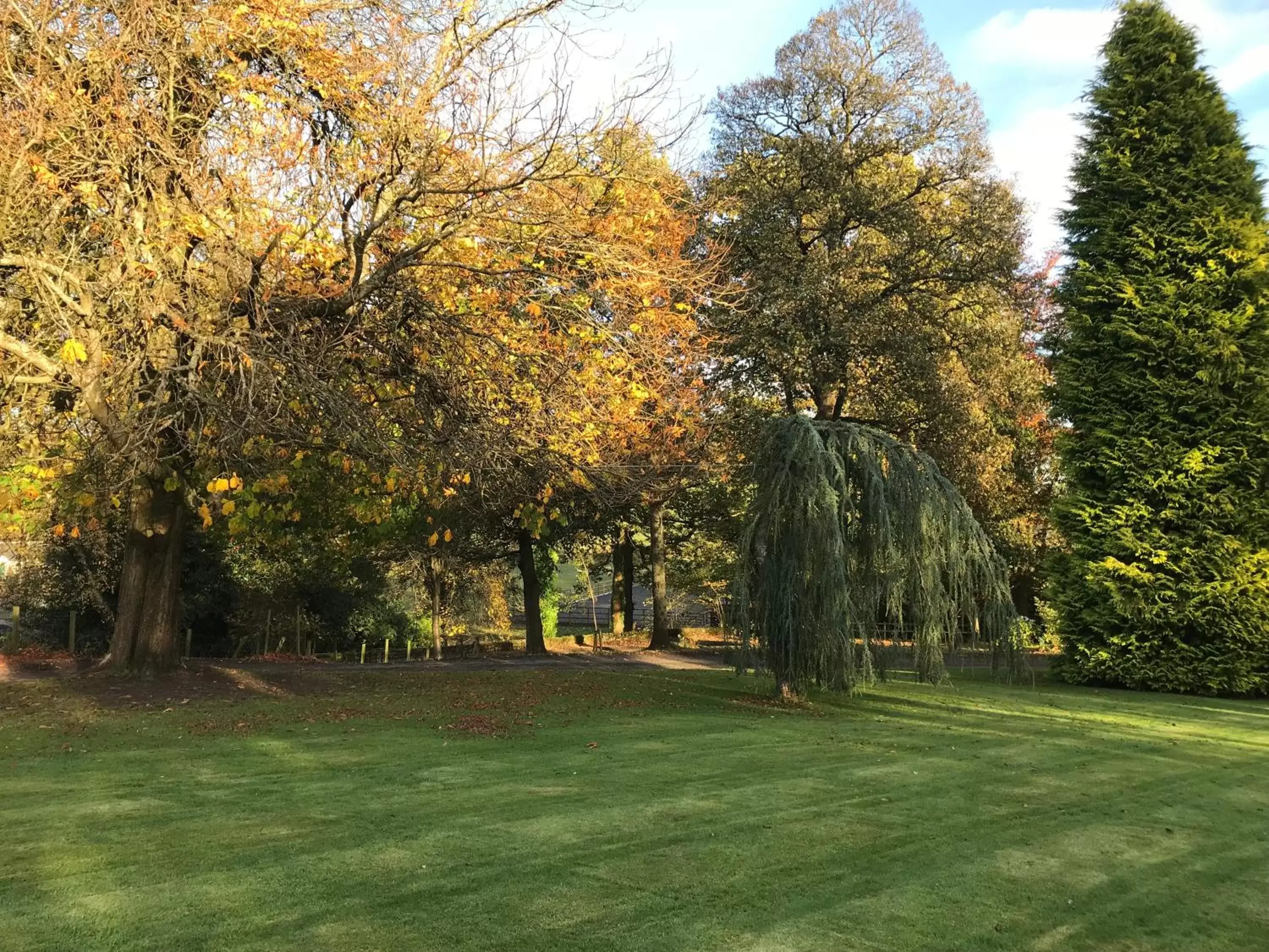 Garden in West Plean House