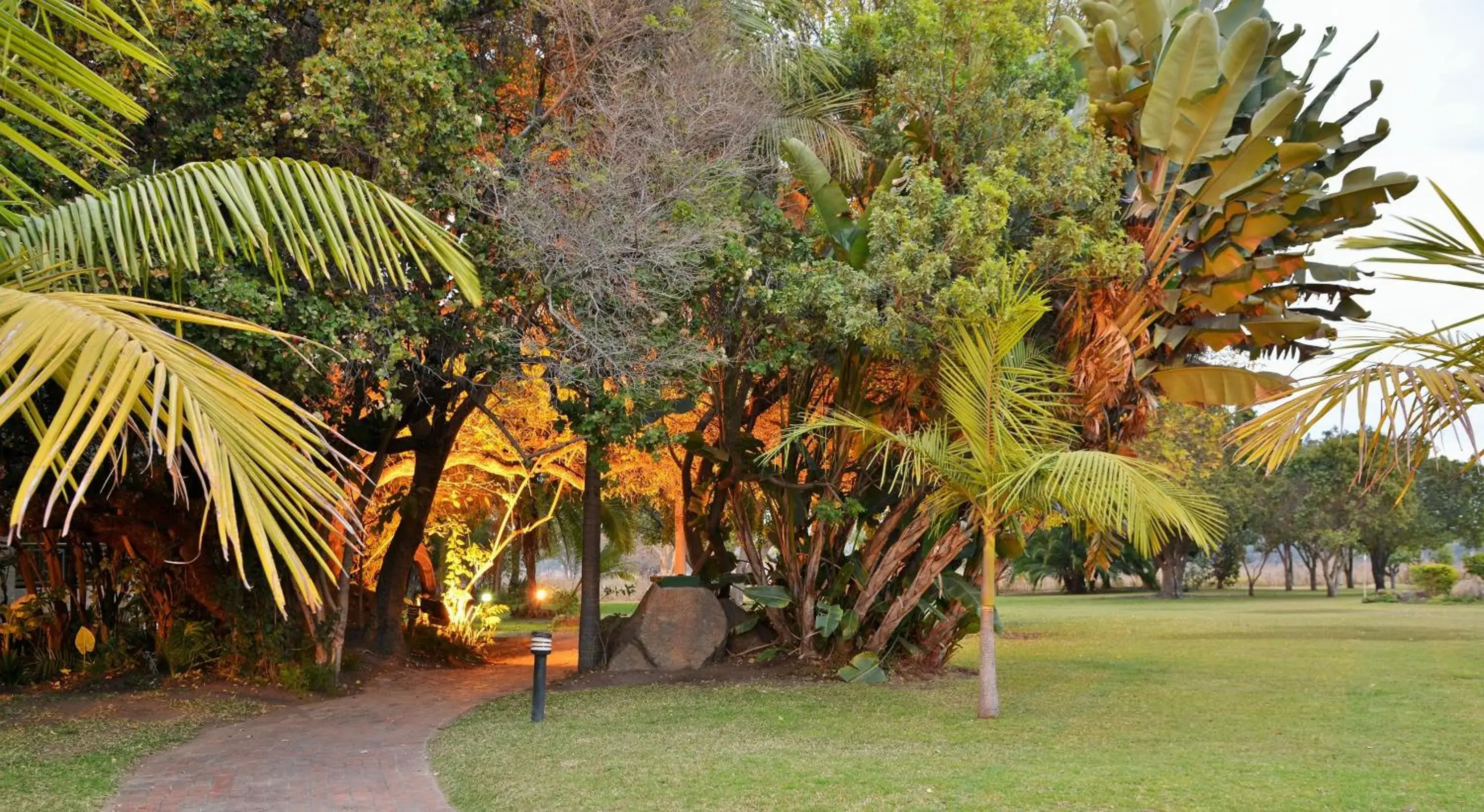 Garden in Cresta Lodge Harare