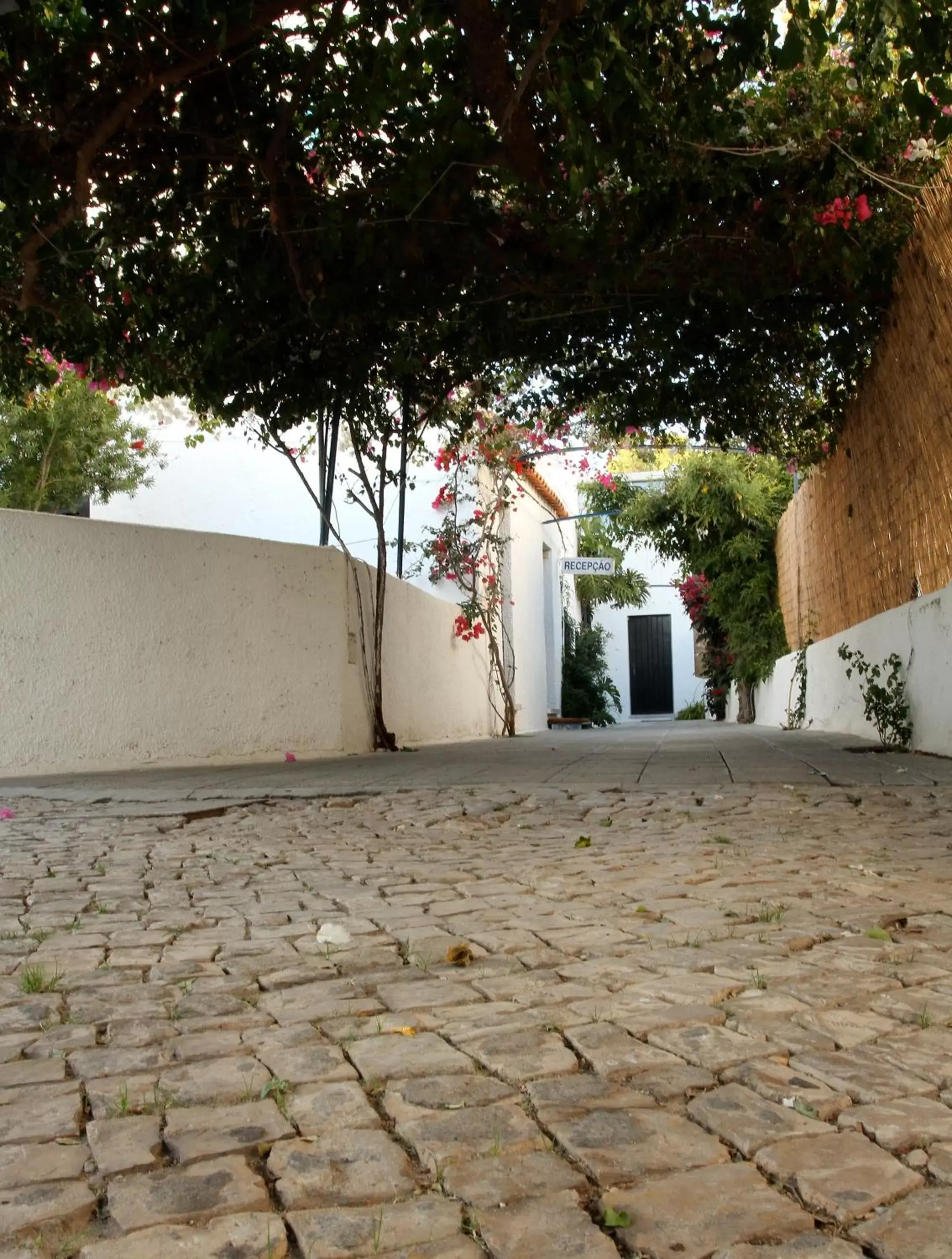 Facade/entrance, Patio/Outdoor Area in Apartamentos Azul Mar