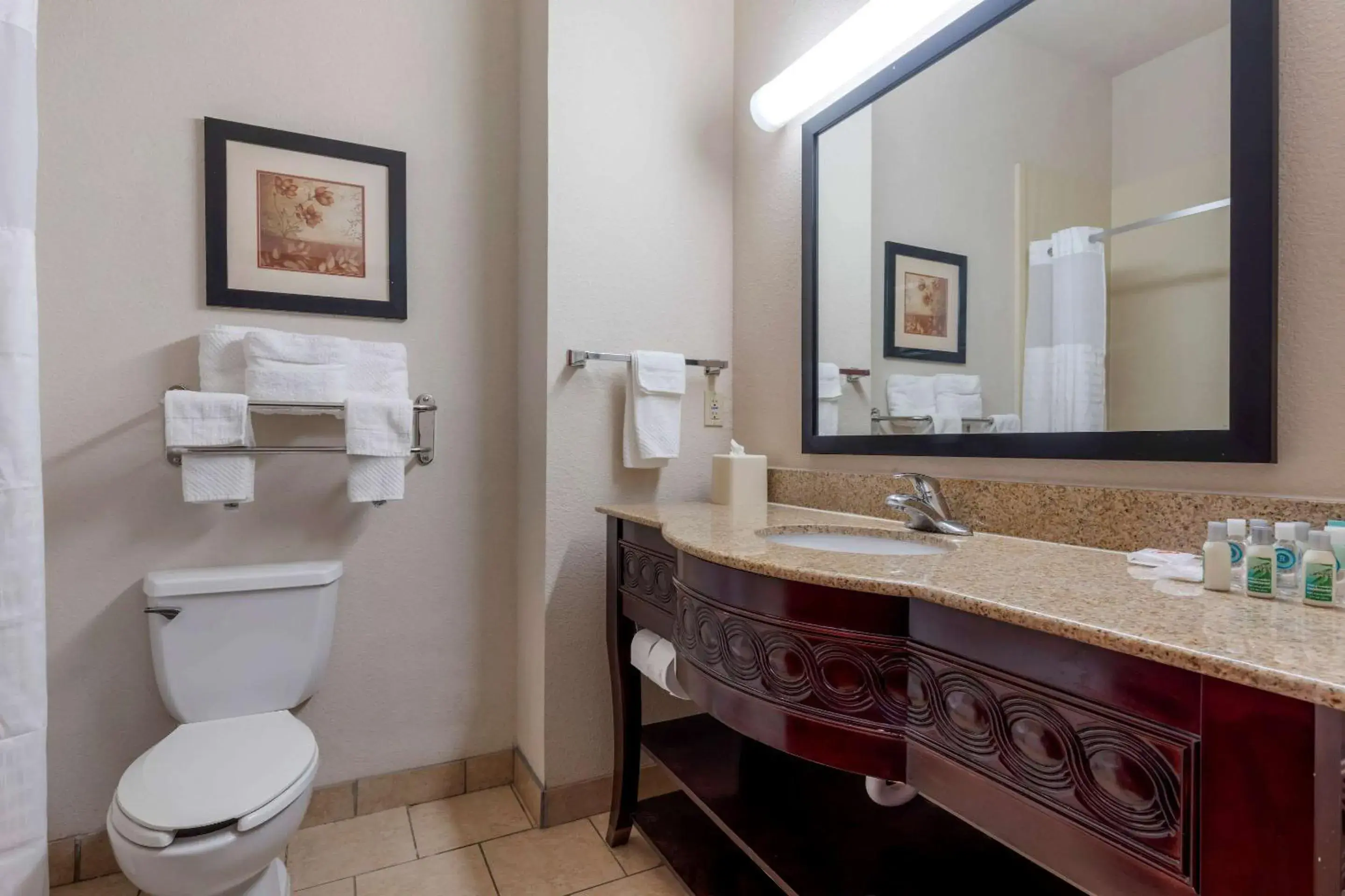 Bathroom in Comfort Inn & Suites Denison - Lake Texoma Bathroom in Comfort Inn & Suites Denison - Lake Texoma