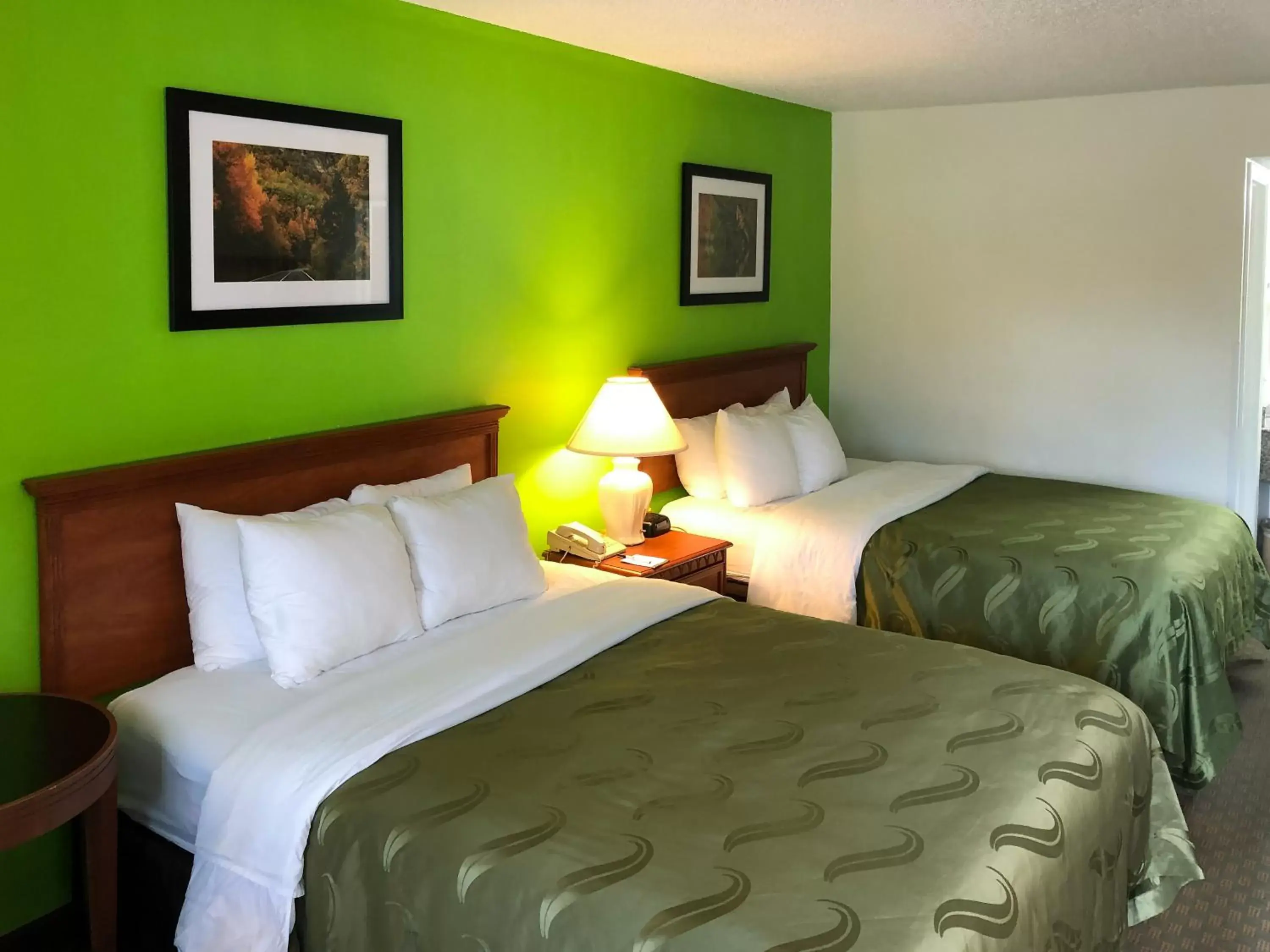 Pets, Bed in Quality Inn and Suites Alma
