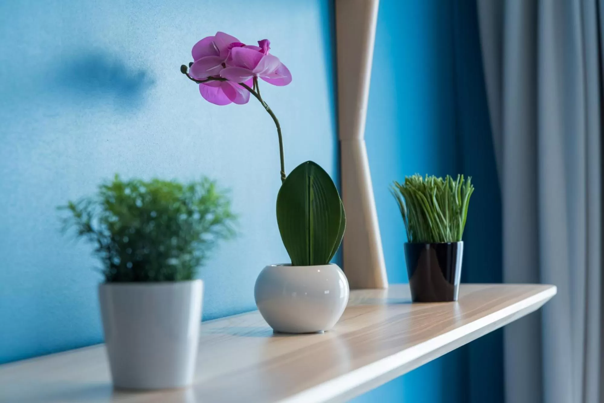 Decorative detail in Hôtel Imperi'Ale