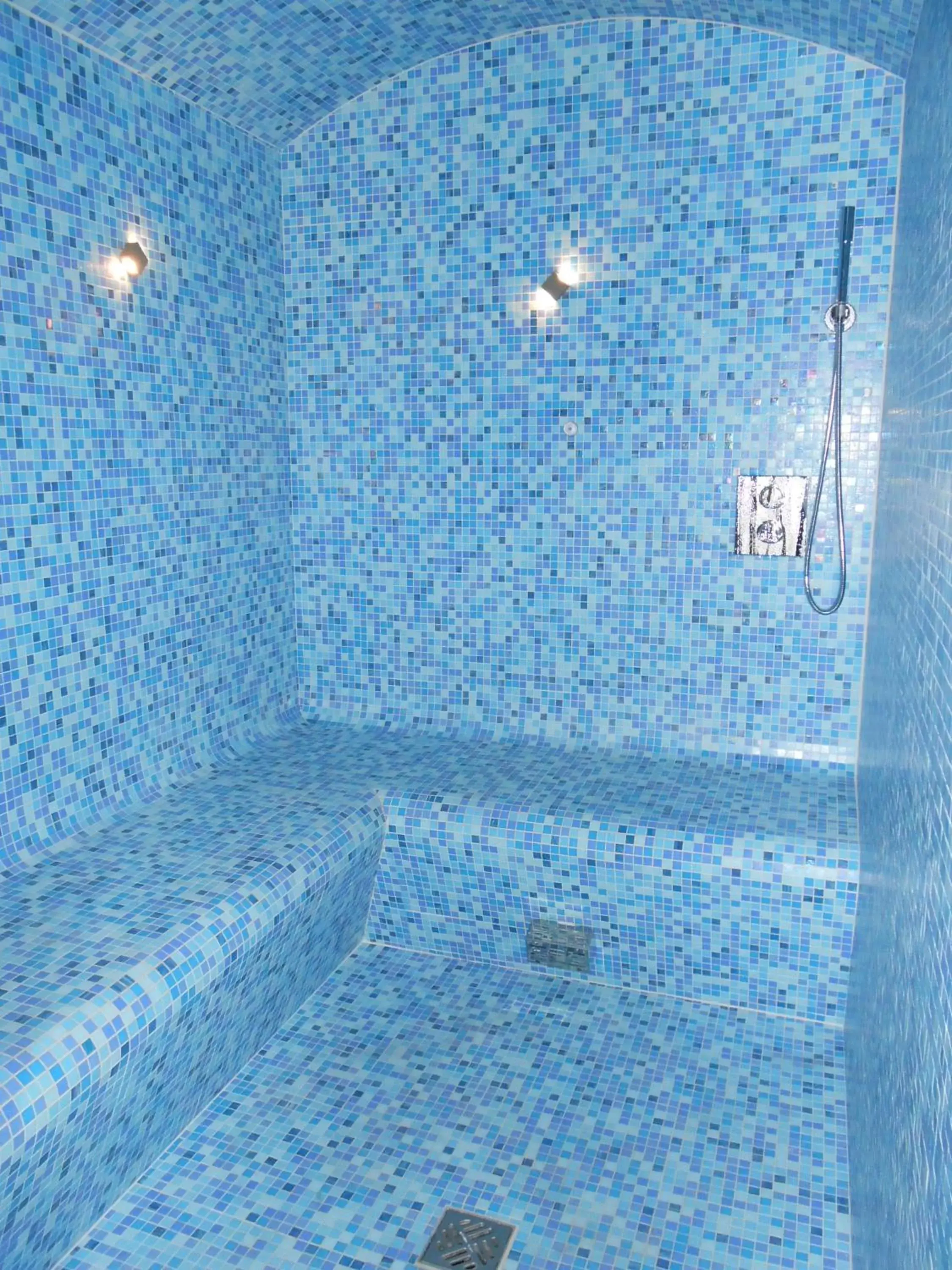 Steam room, Swimming Pool in Logis- Hôtel Spa Restaurant l'Epicurial