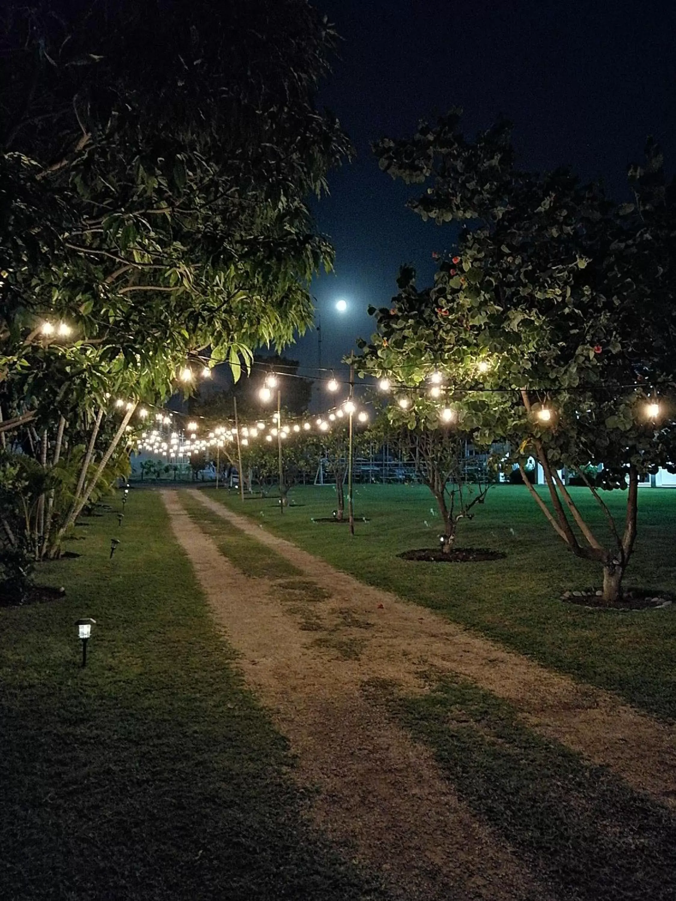 Night, Garden in Hotel Quinta Moctezuma