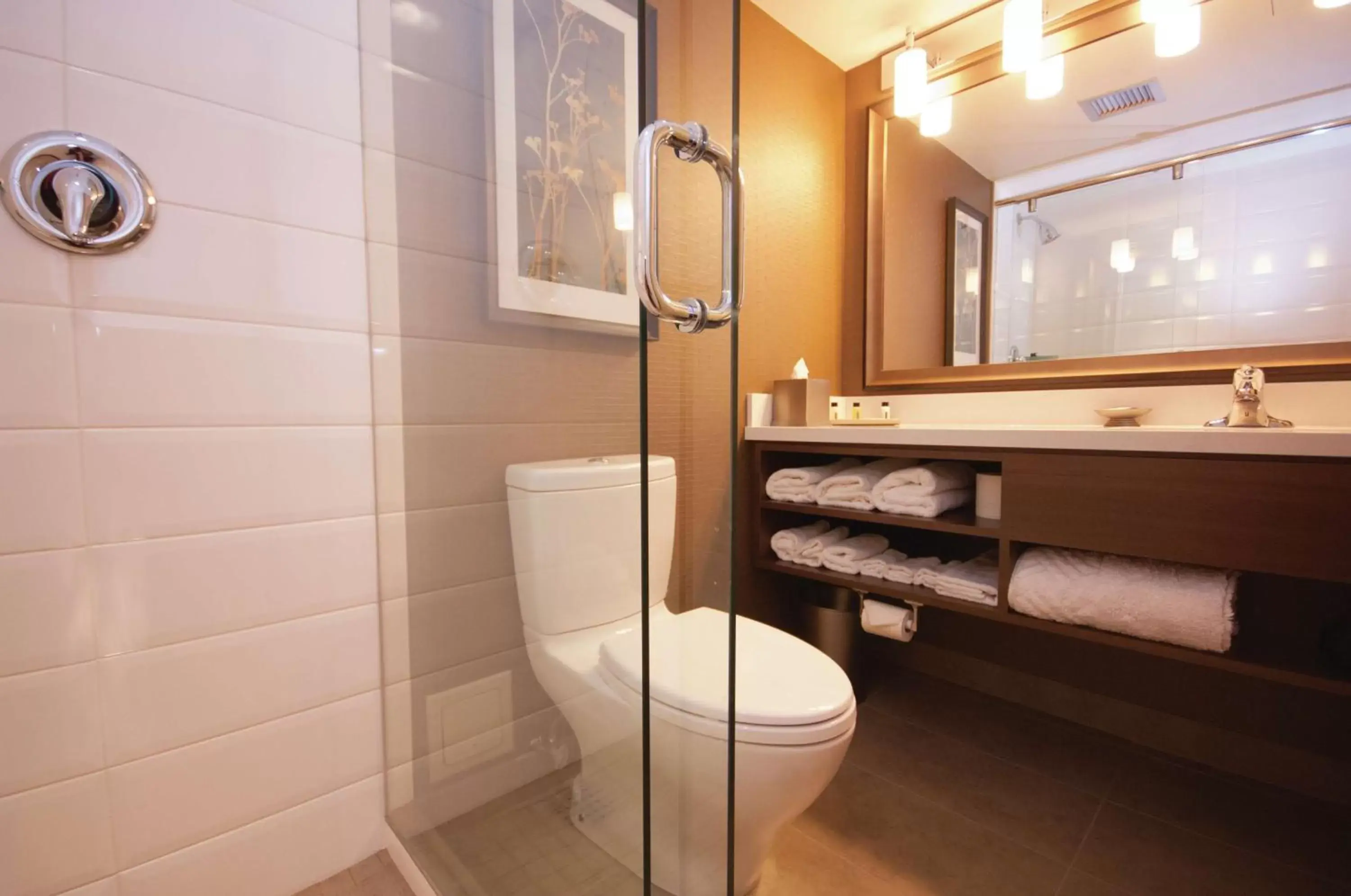 Bathroom in DoubleTree by Hilton Hotel & Conference Centre Regina
