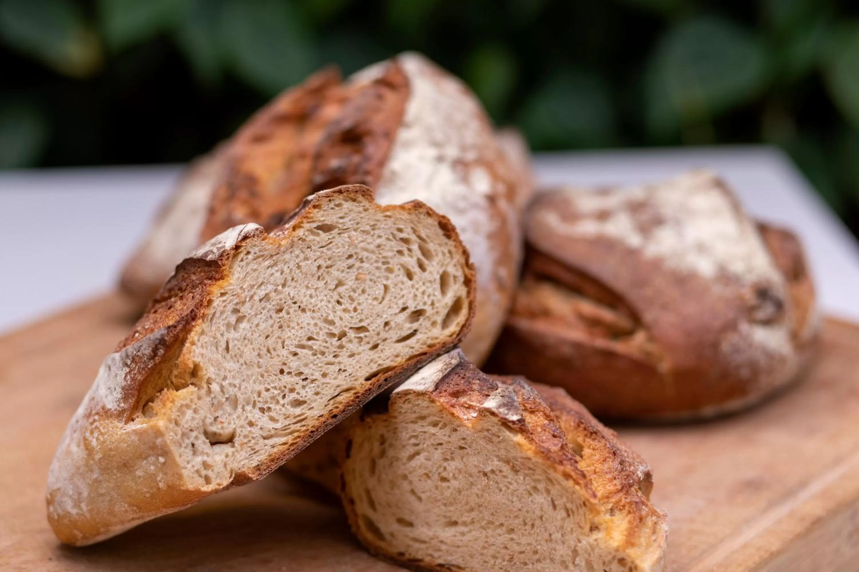 Food close-up in Metropolitan Hotel