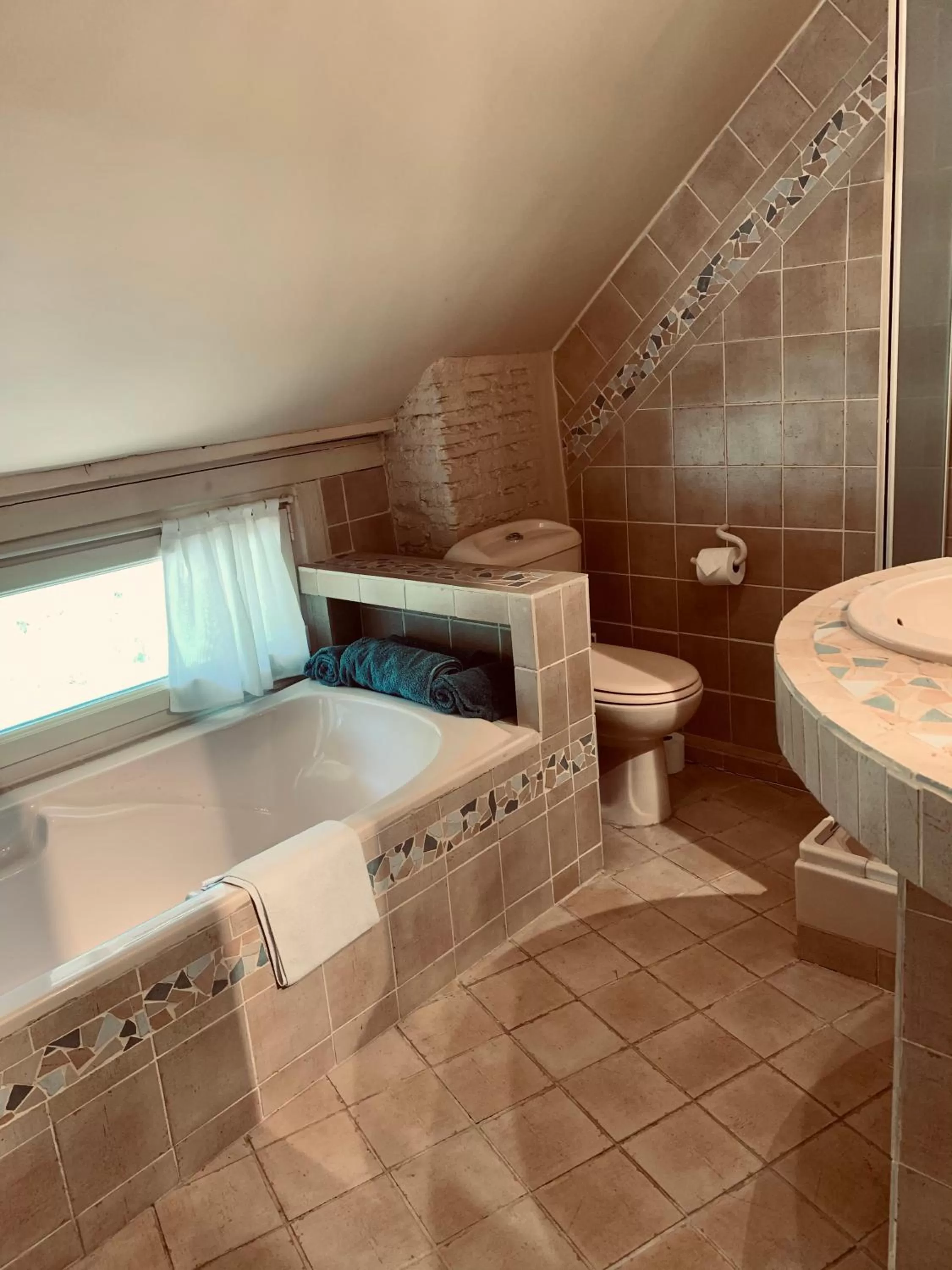 Shower, Bathroom in Manoir de la Rémonière