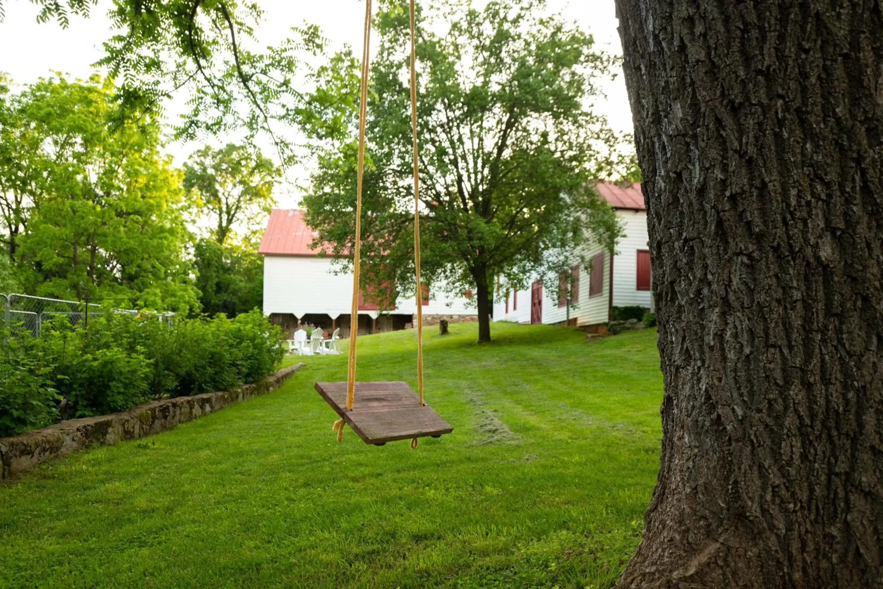 Garden in South Court Inn