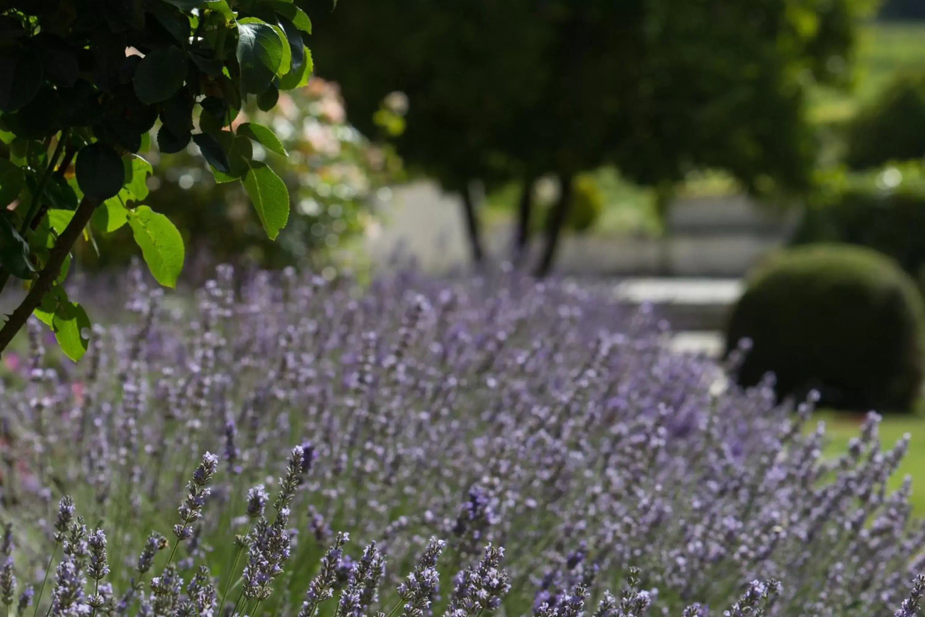 Garden in Chateau du Palanquey & SPA