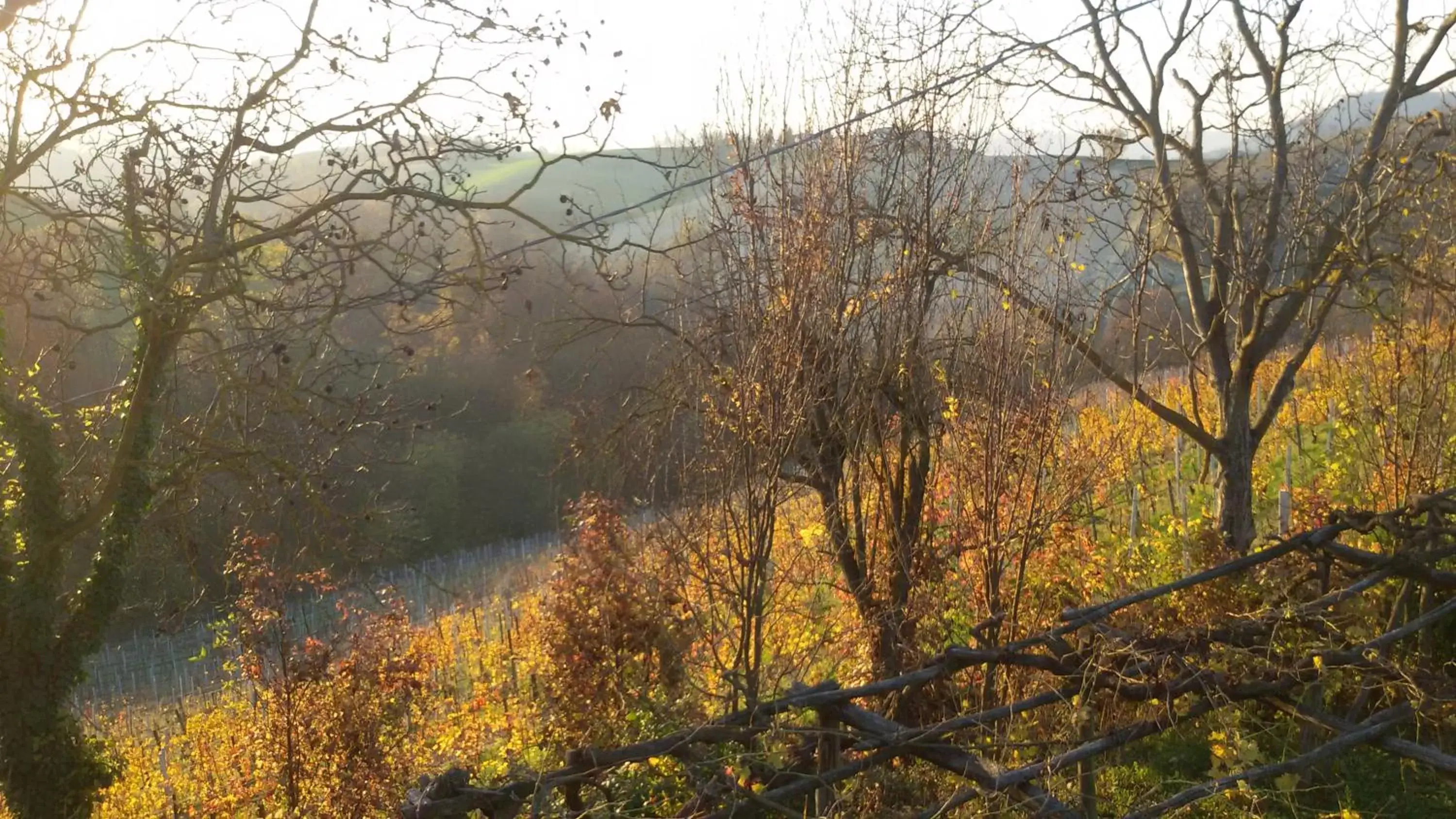 On site in Cascina Torello