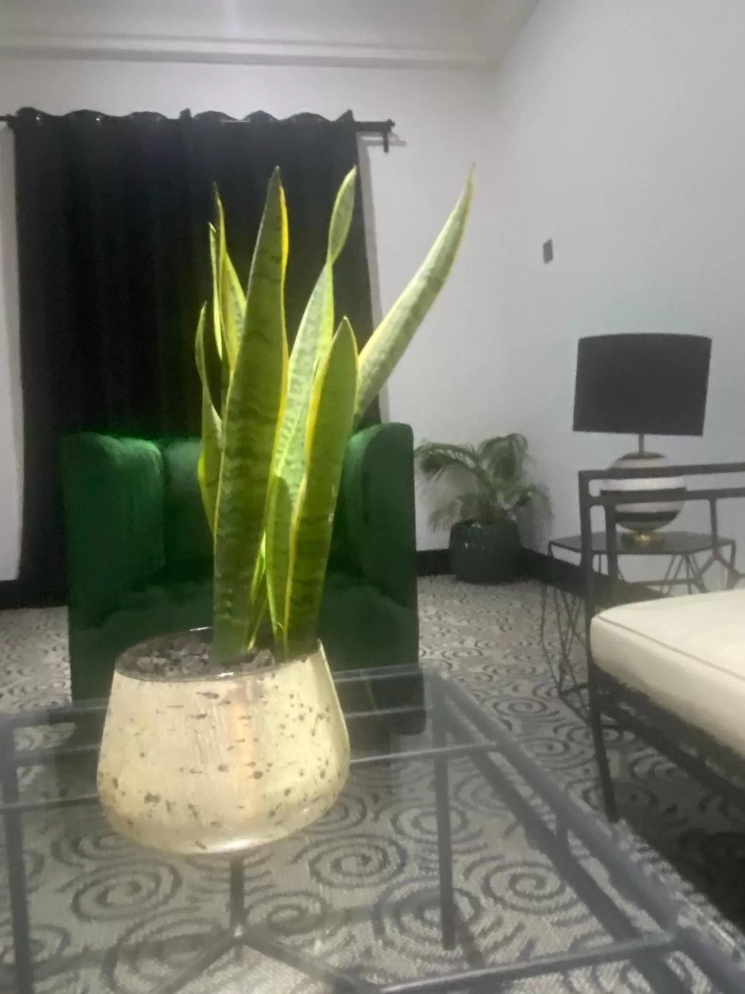 Living room in MUSE Boutique Hotel