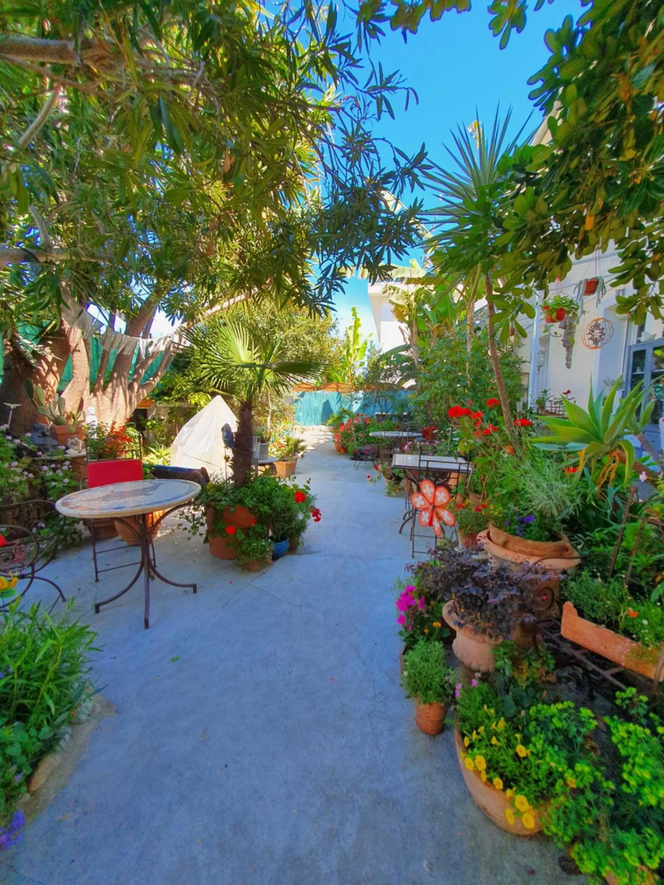 Garden in Logis Hôtel Villa Victorine
