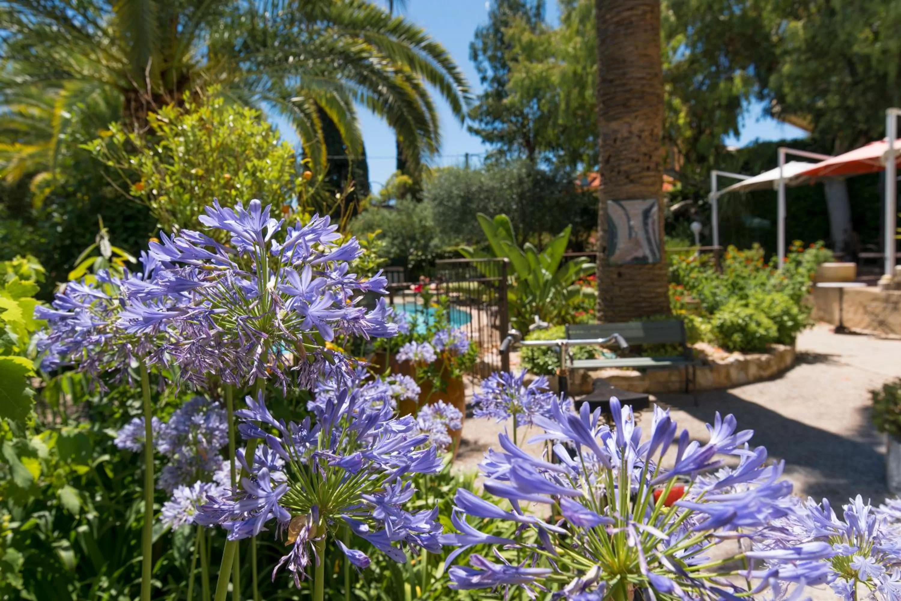 View (from property/room) in La Villa Roseraie , Hôtel Familial OUVERT TOUTE L ANNEE