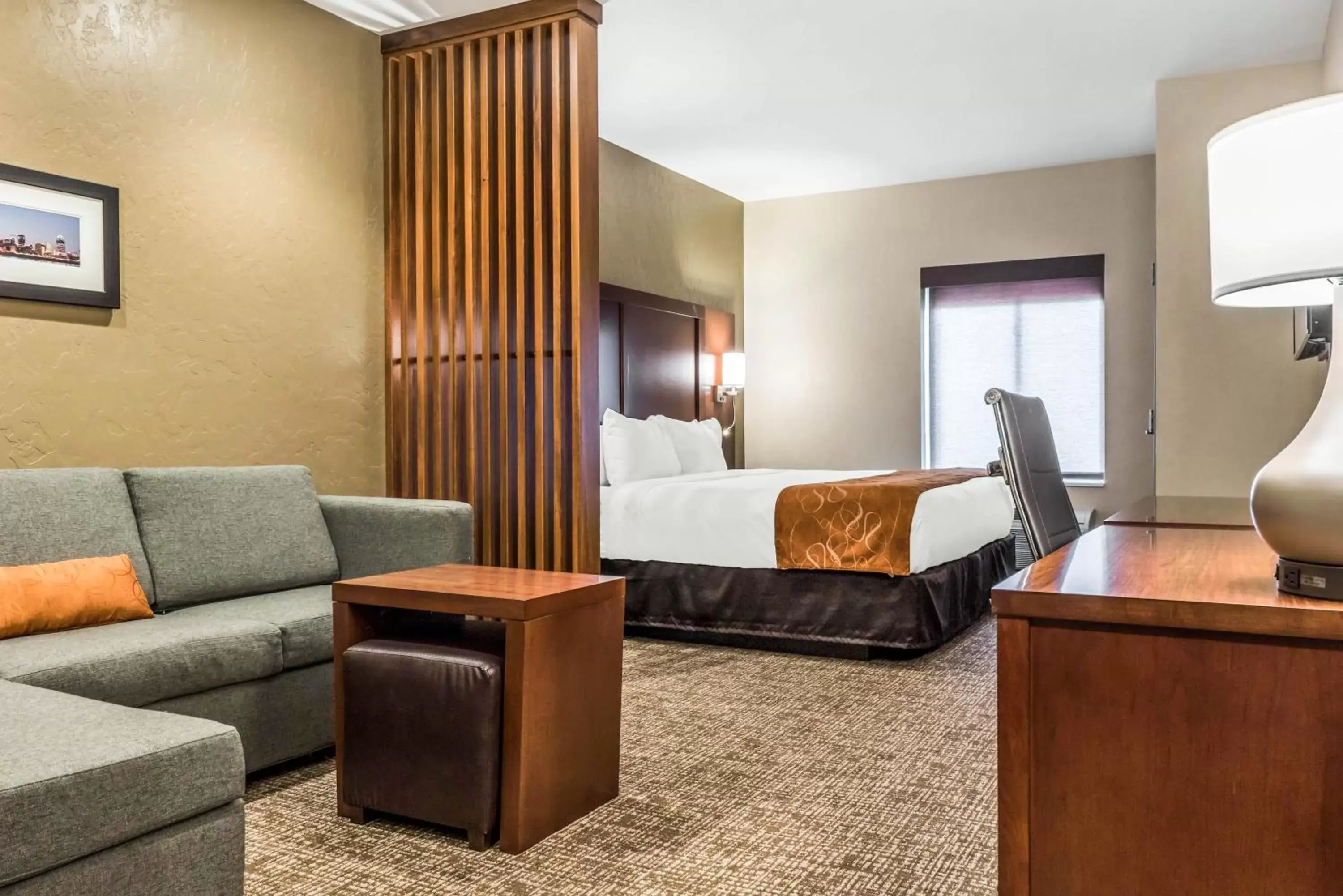 Photo of the whole room in Comfort Suites Florence - Cincinnati South