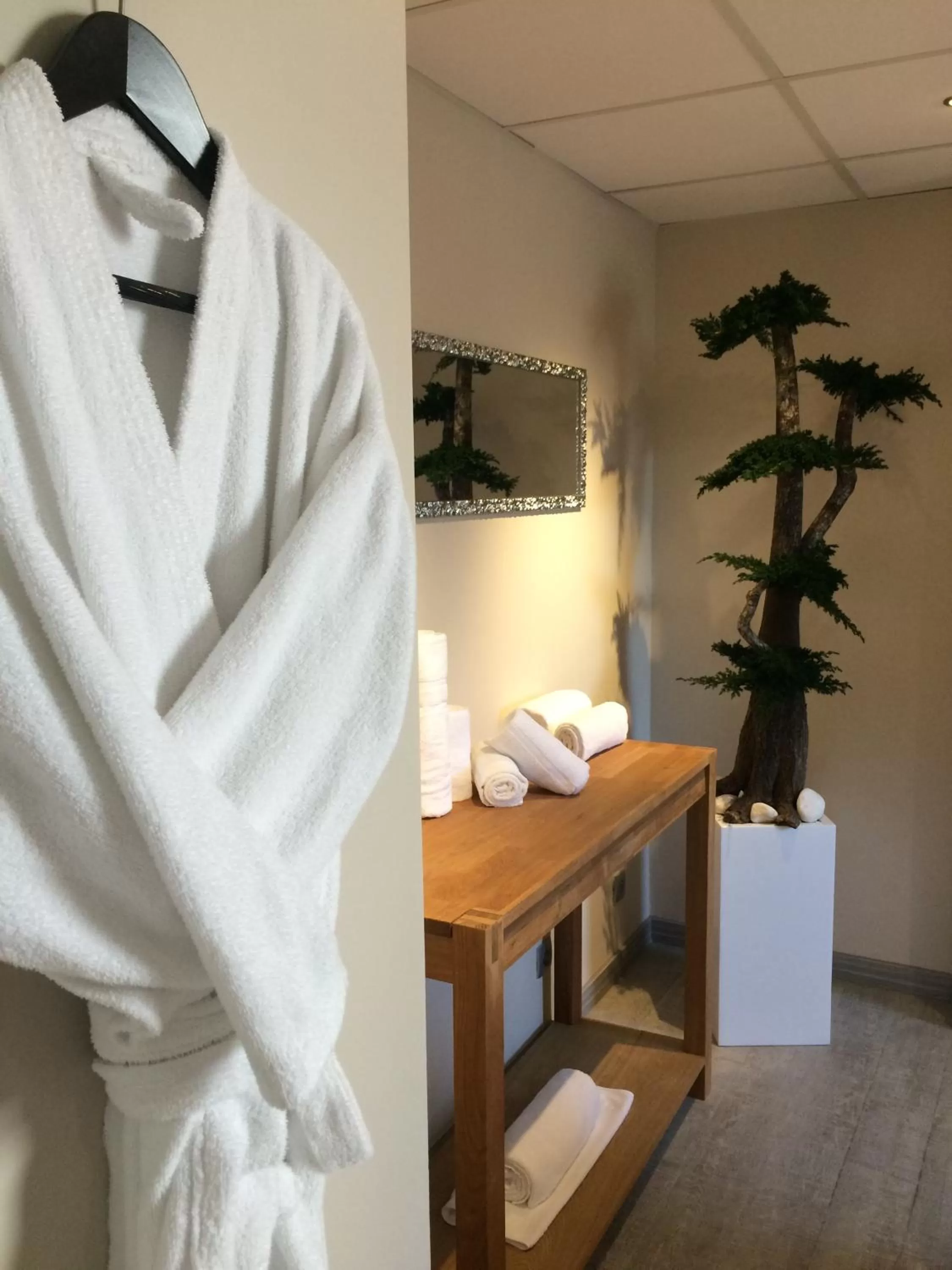 Massage in Best Western Plus Thionville Centre