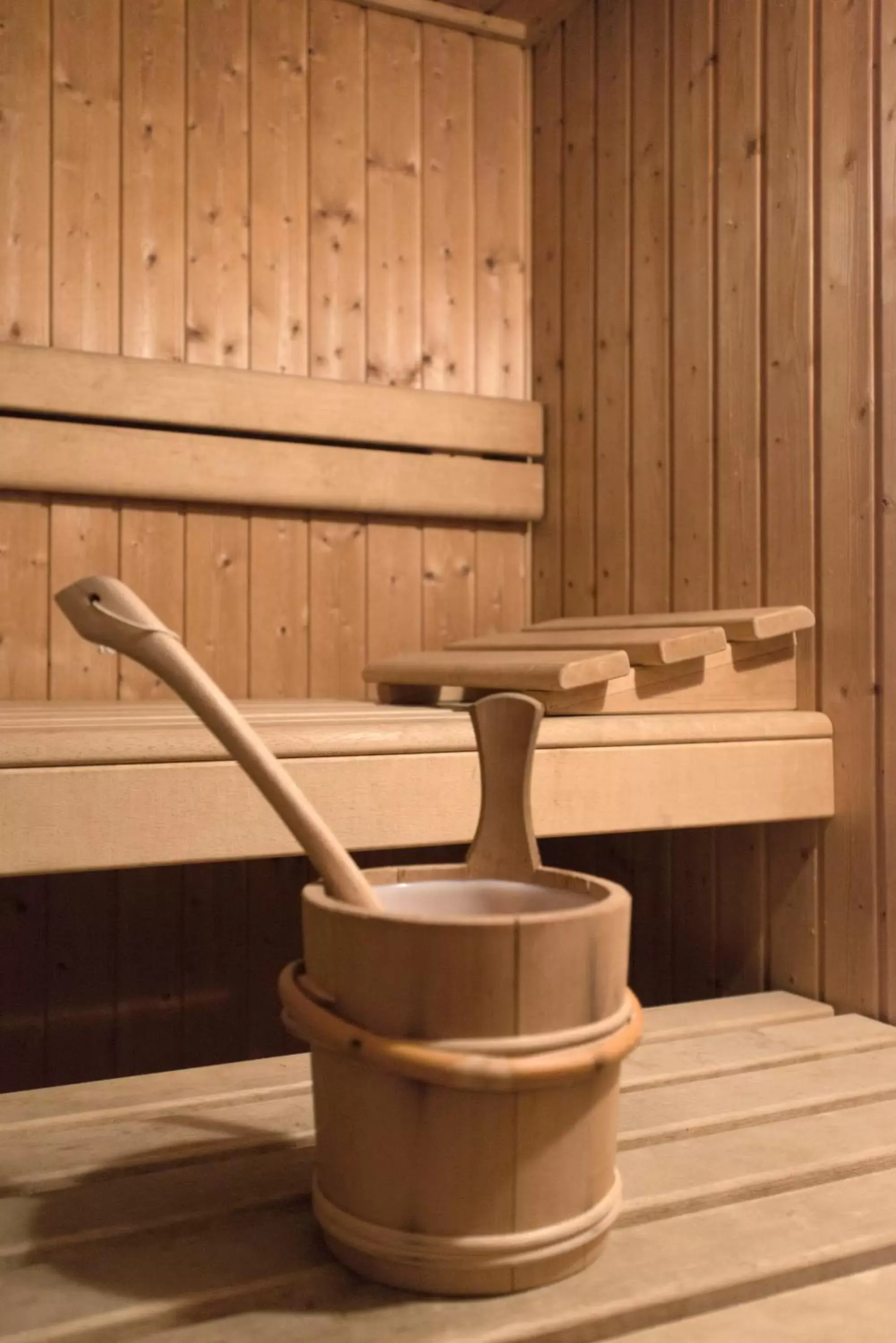 Sauna, Spa/Wellness in Campanile Martigny