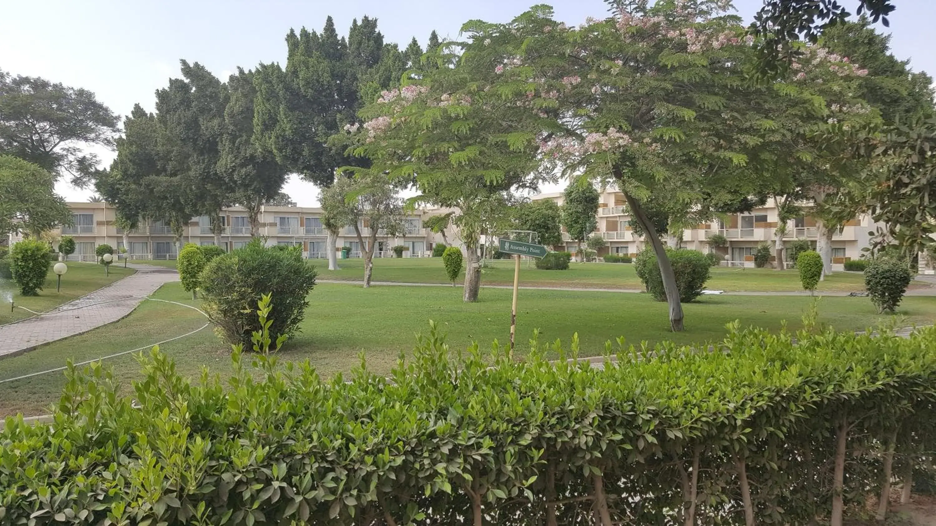 Garden in Pyramids Park Resort Cairo