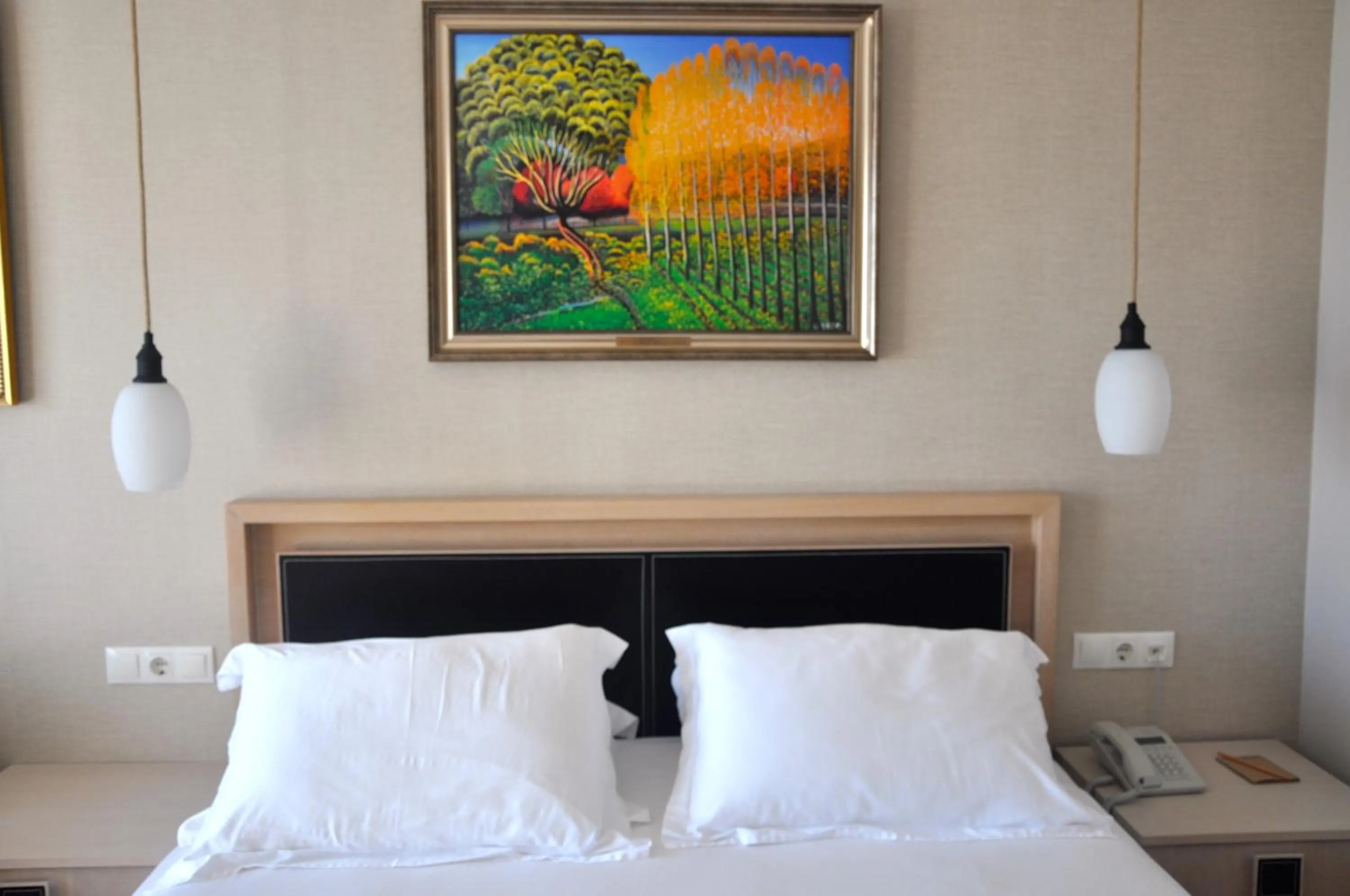 Standard  Room in Olira Boutique Hotel&SPA