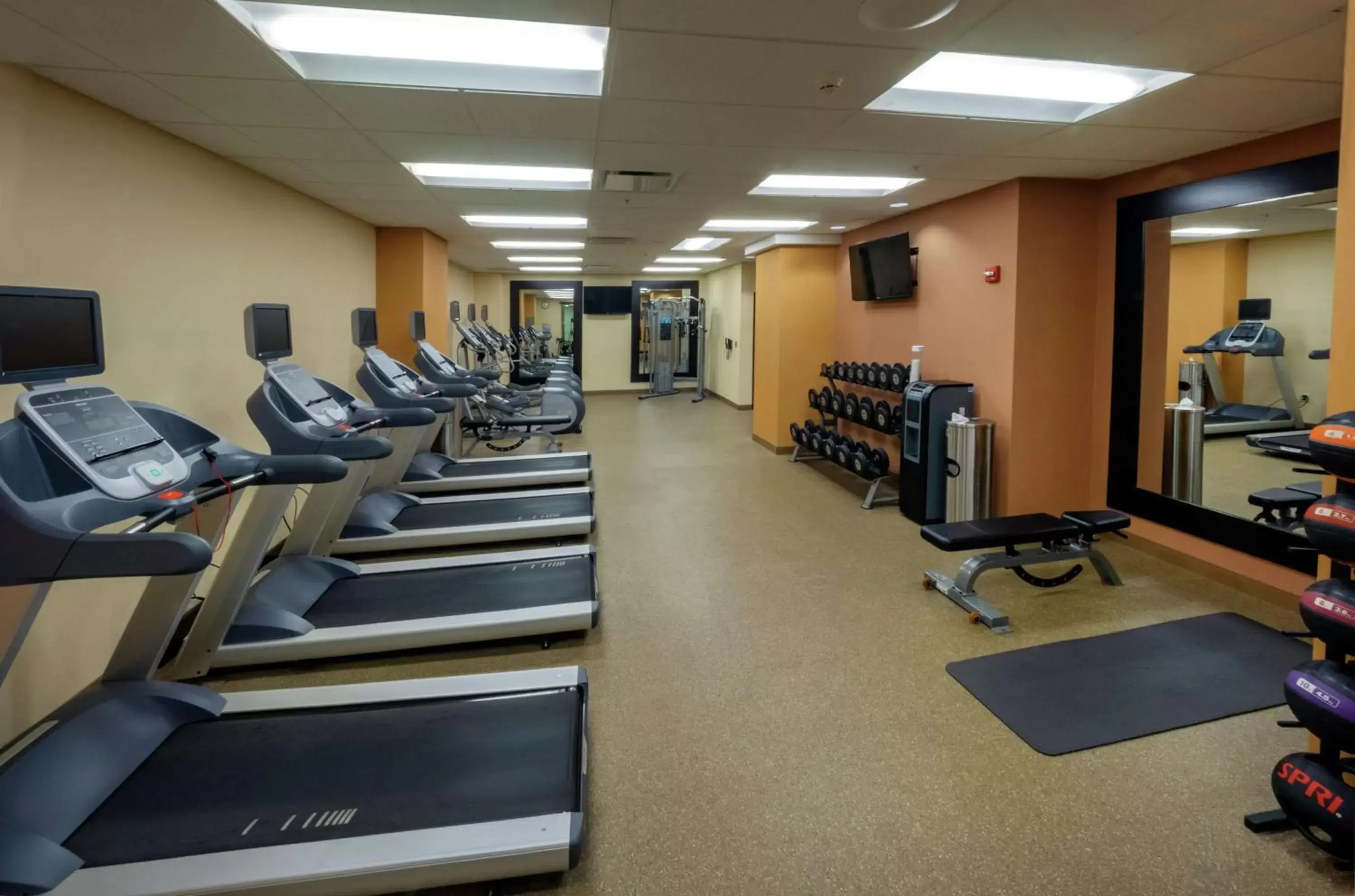 Fitness centre/facilities, Fitness Center/Facilities in The Hilton Garden Inn Buffalo-Downtown