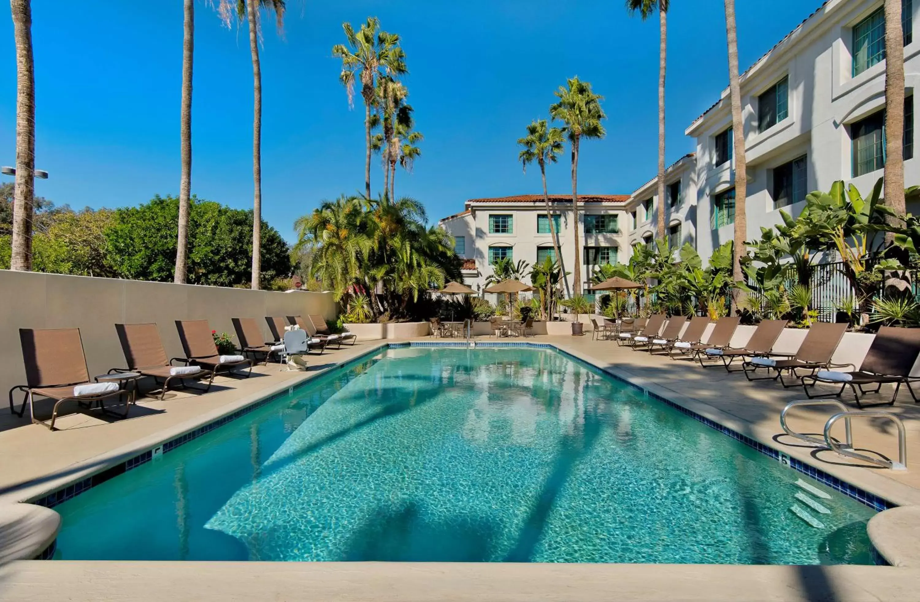 Pool view, Swimming Pool in DoubleTree by Hilton San Pedro