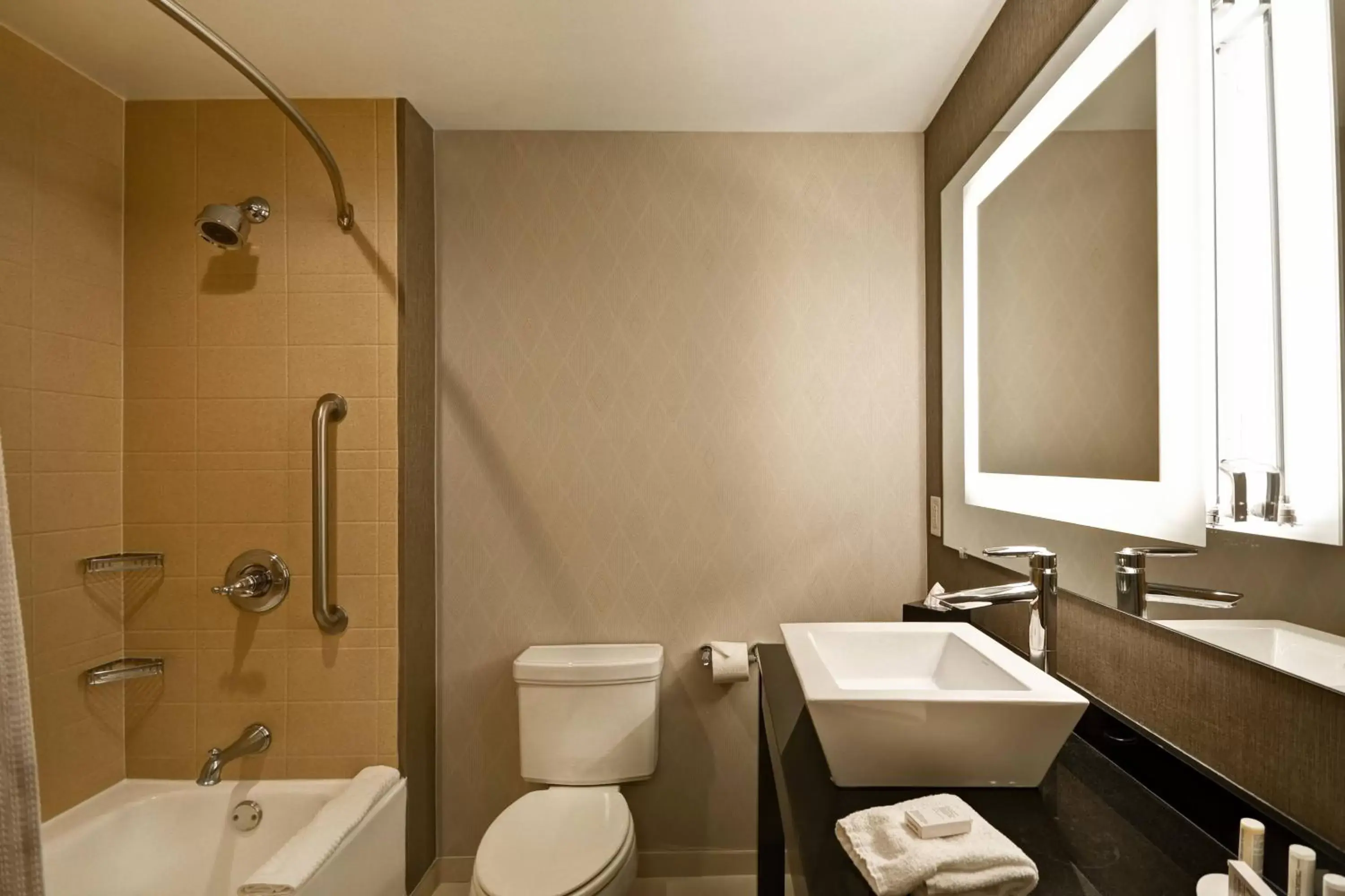 Bathroom in SpringHill Suites by Marriott Indianapolis Airport/Plainfield