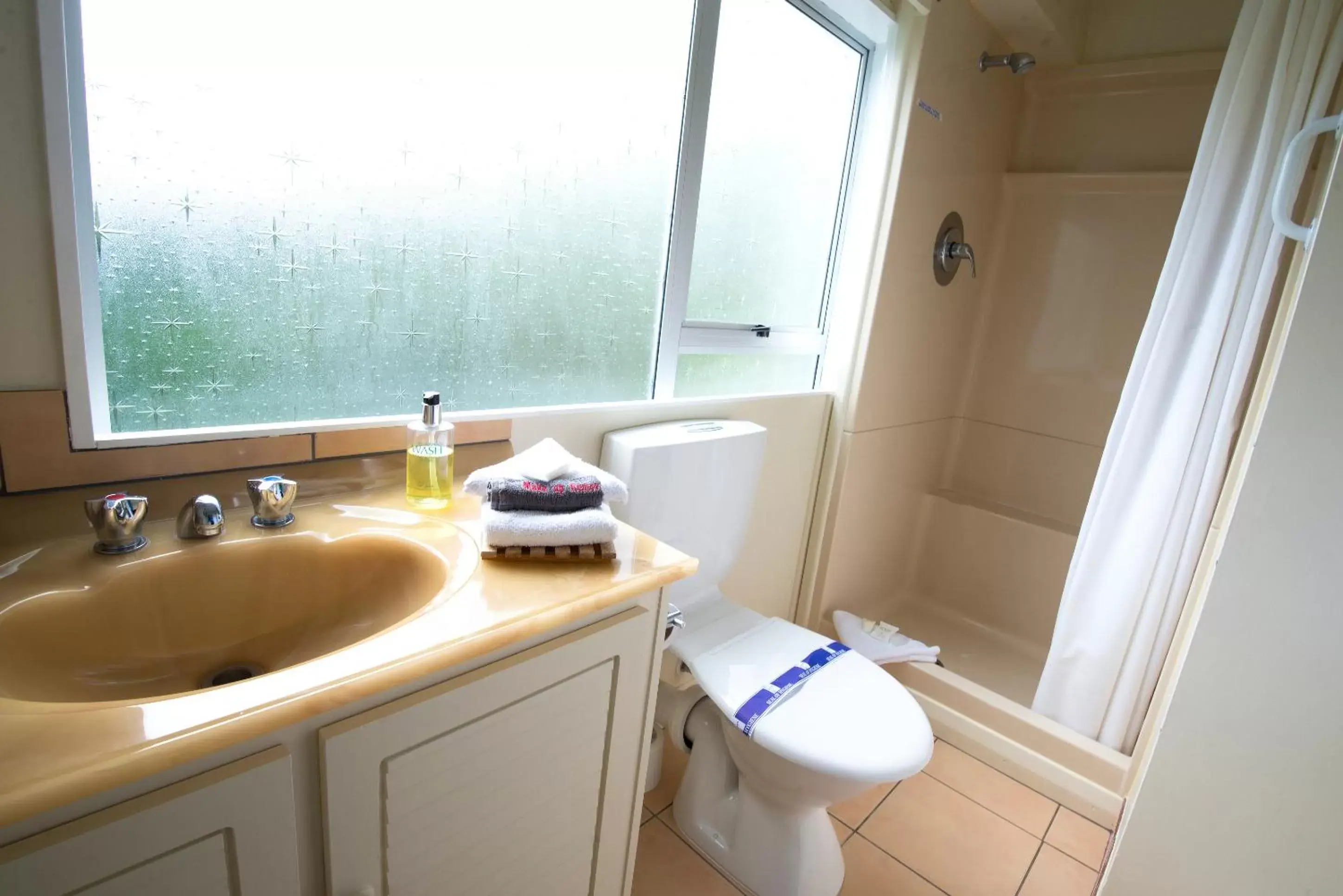 Shower, Bathroom in Kapiti Gateway Motel