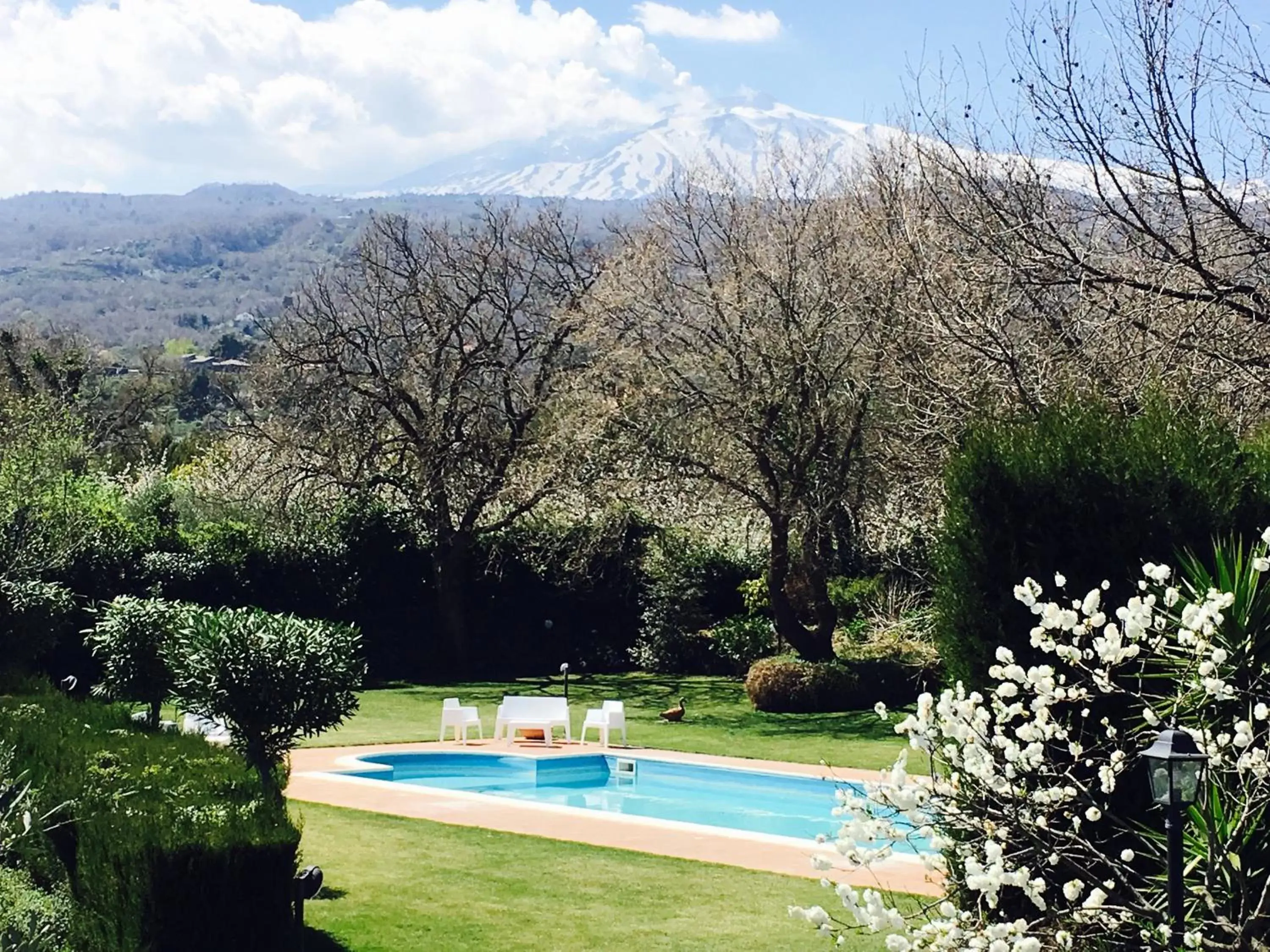 Pool view, Swimming Pool in Bed and Breakfast Il Glicine