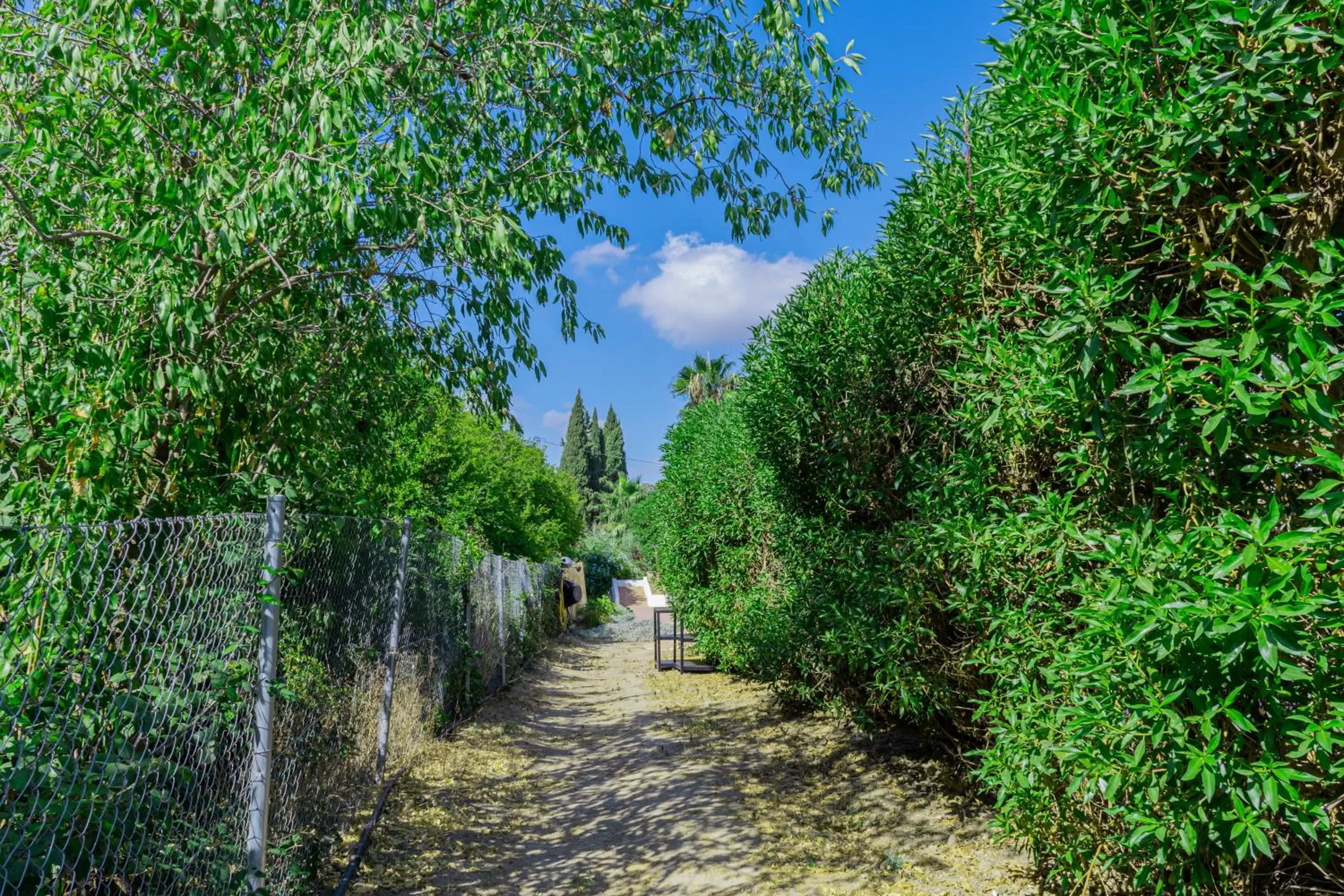 Garden in Casa de Ámbar, Bed&Breakfast