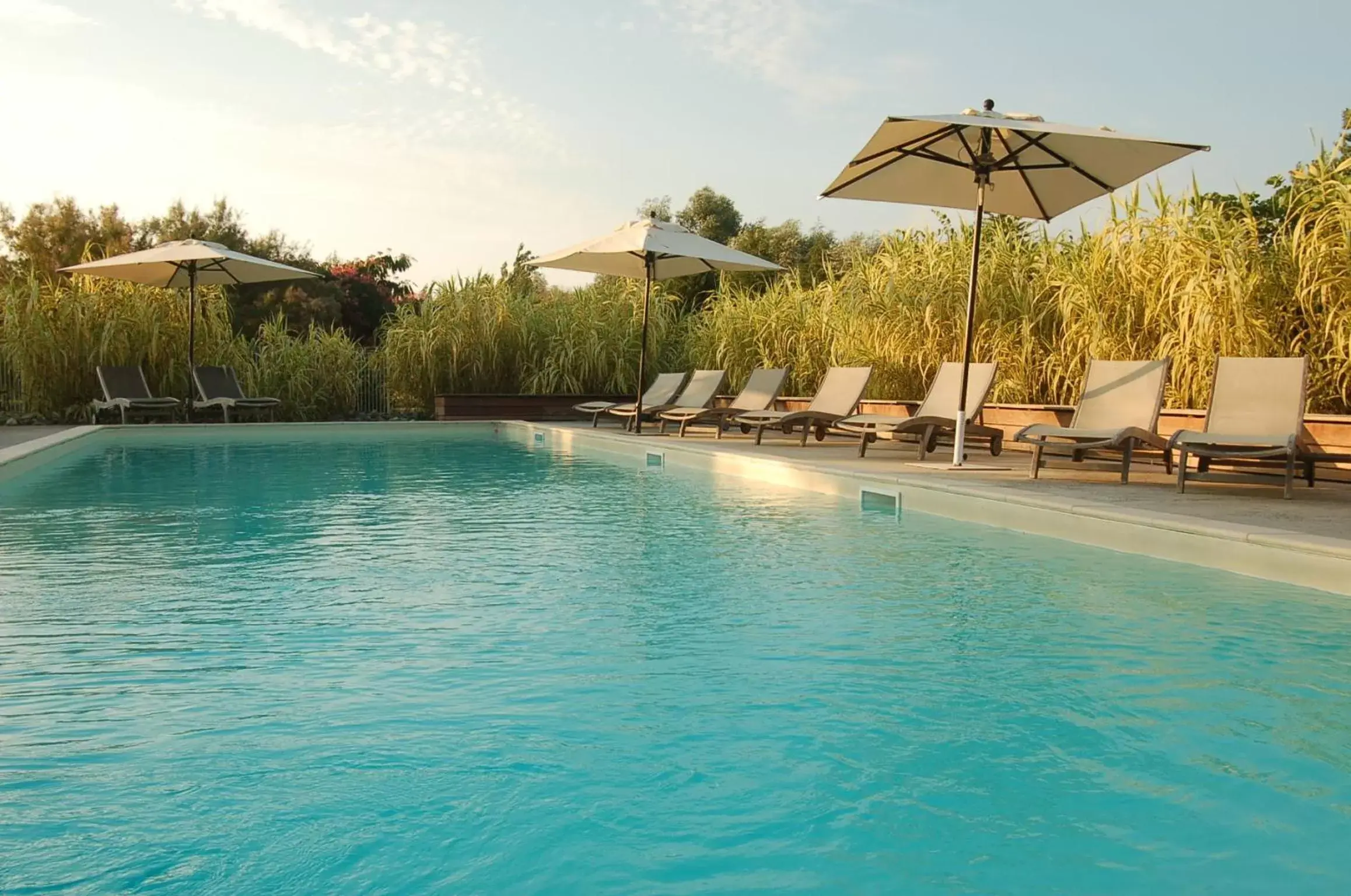 Garden view, Swimming Pool in Château Grattequina Hôtel