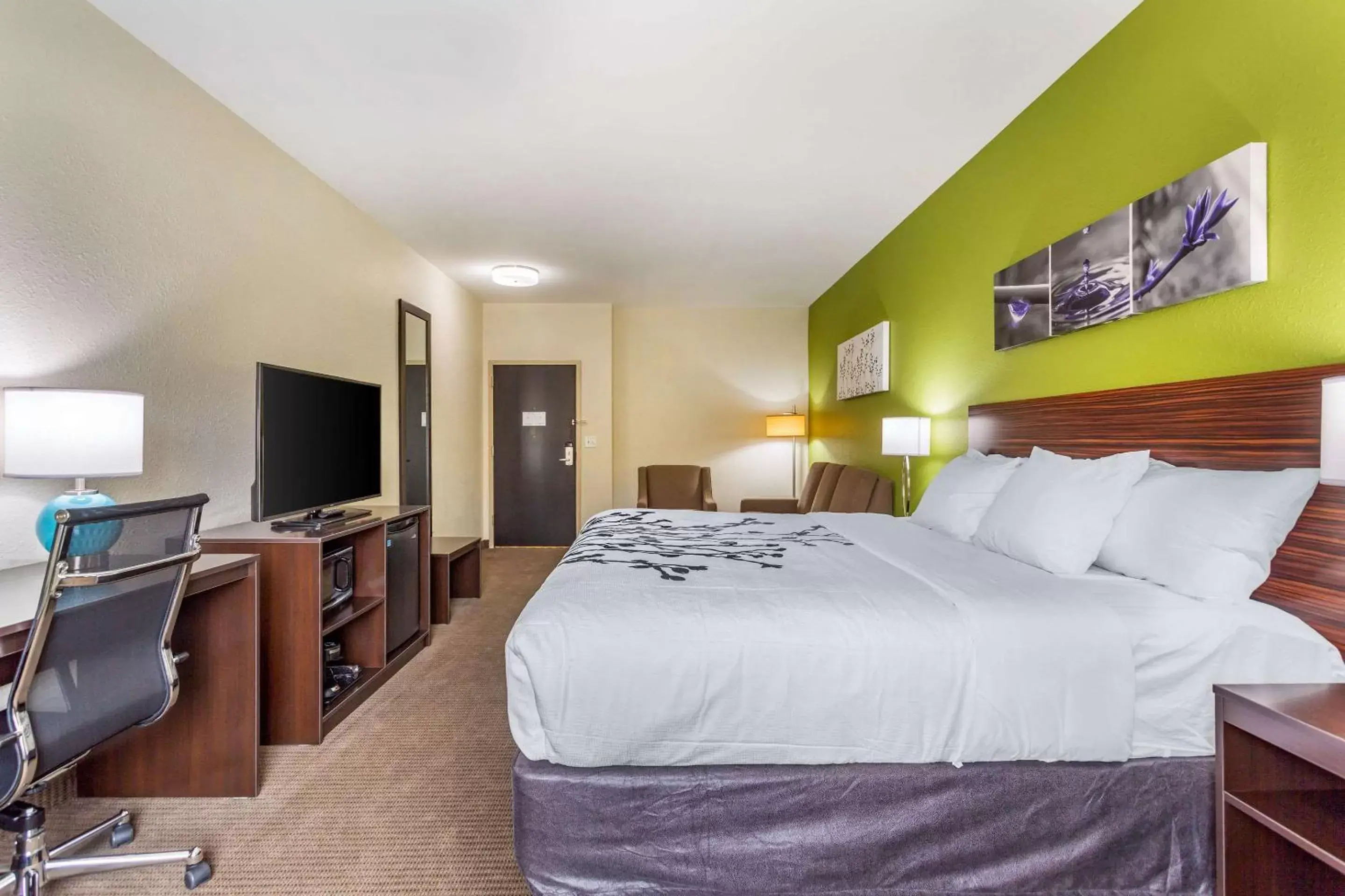 Photo of the whole room, Bed in Sleep Inn & Suites Gallatin - Nashville Metro