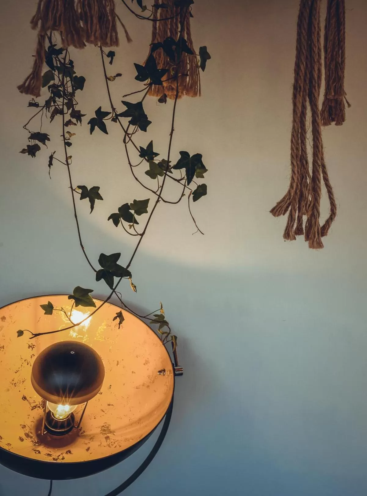 Restaurant/places to eat in Colonie 7 - Gastenkamers