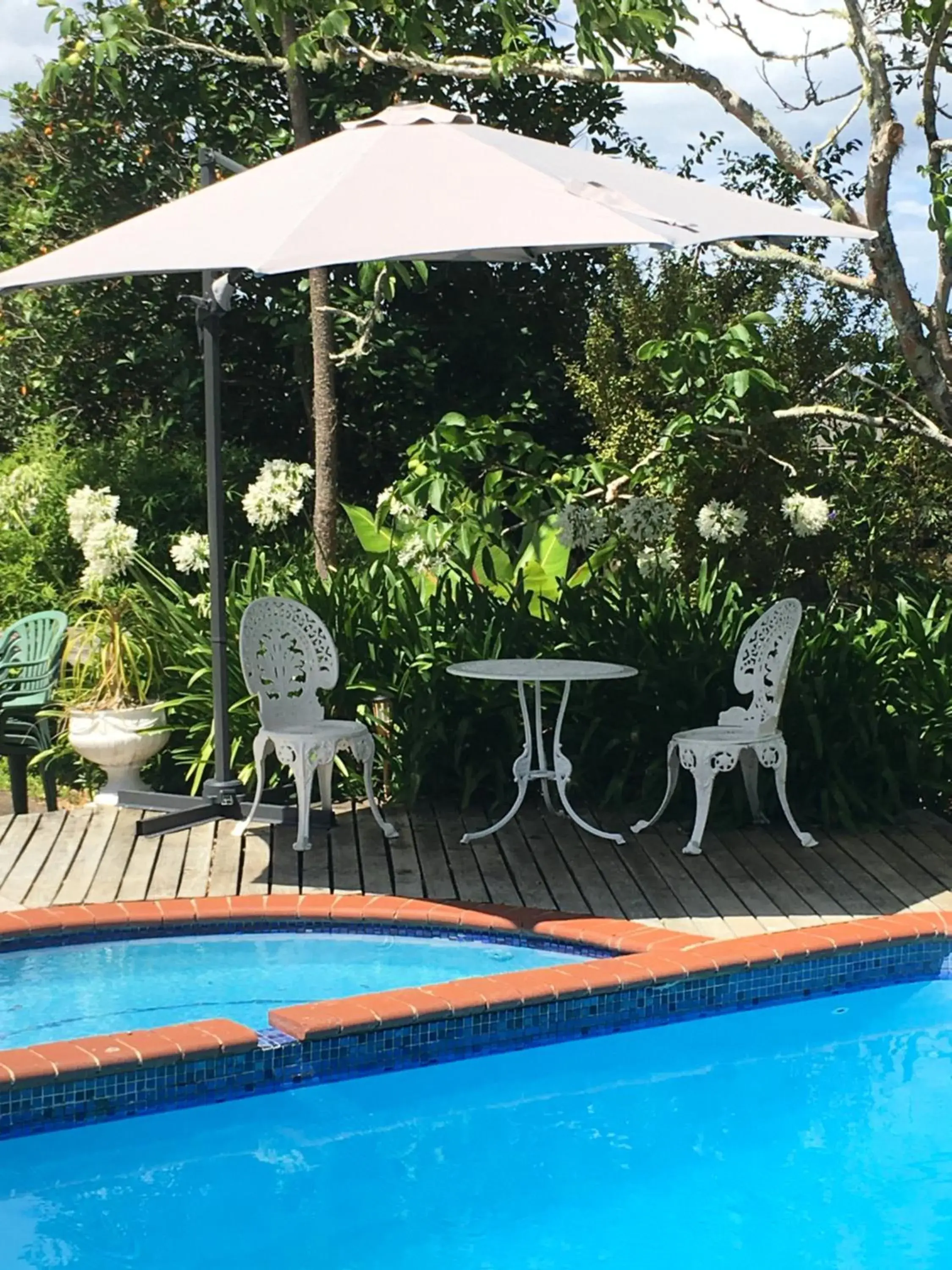 Garden, Swimming Pool in Colonial House Motel