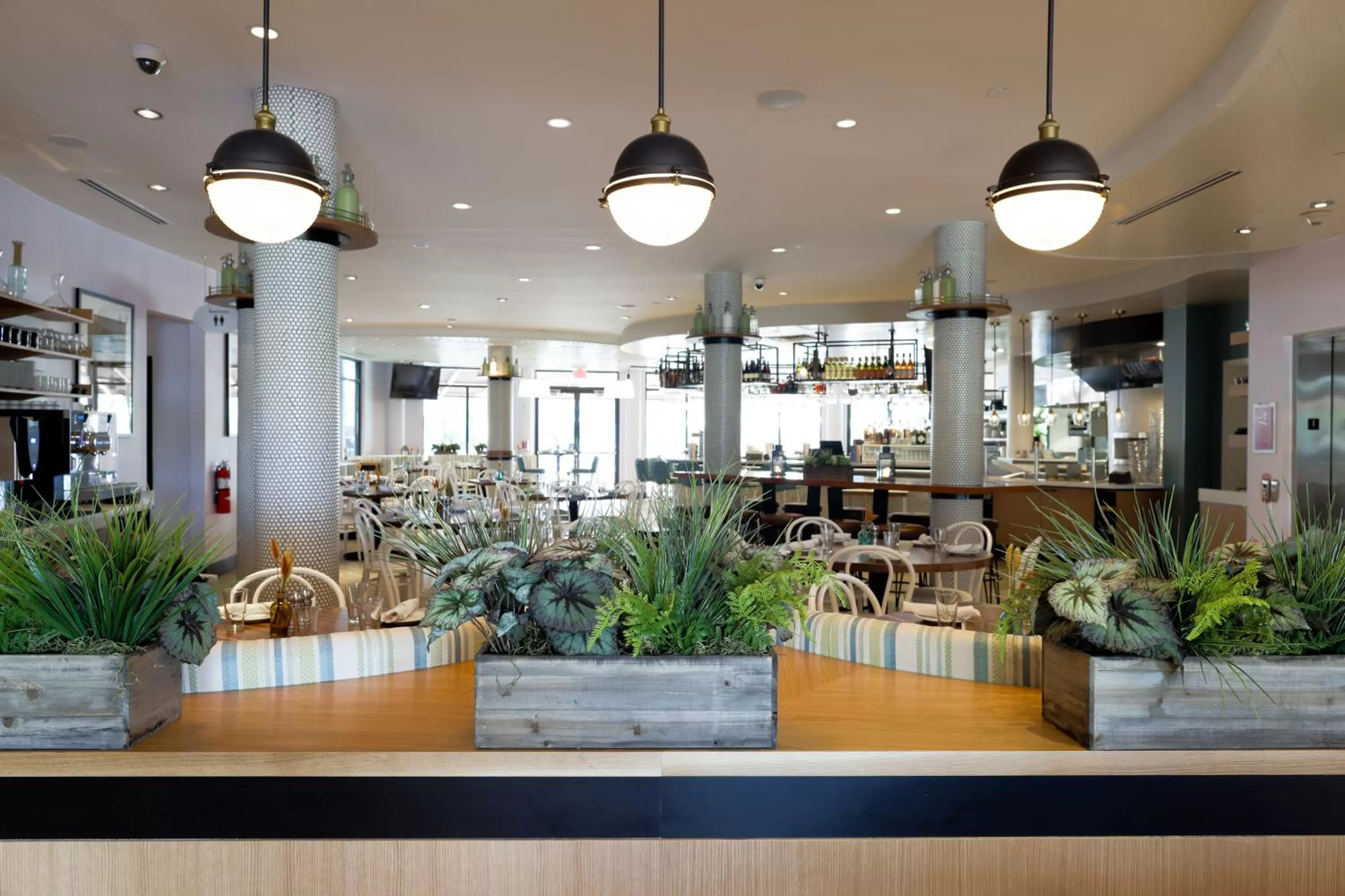 Restaurant/places to eat in Meliá Orlando Celebration