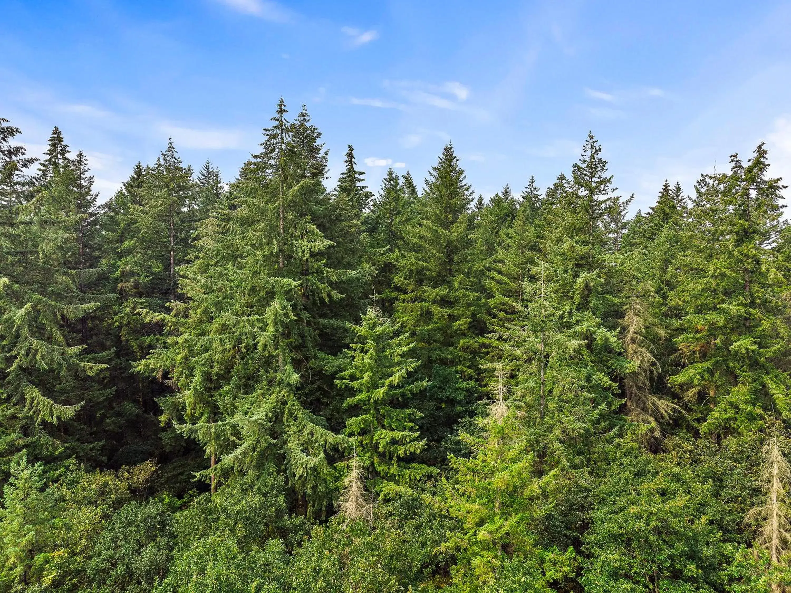 Natural landscape in Lucky Eagle Casino & Hotel