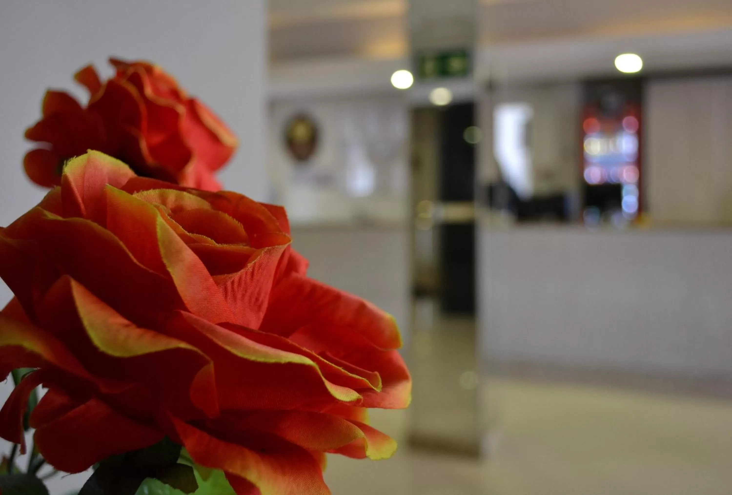 Lobby or reception in Hotel Baviera Iguassu