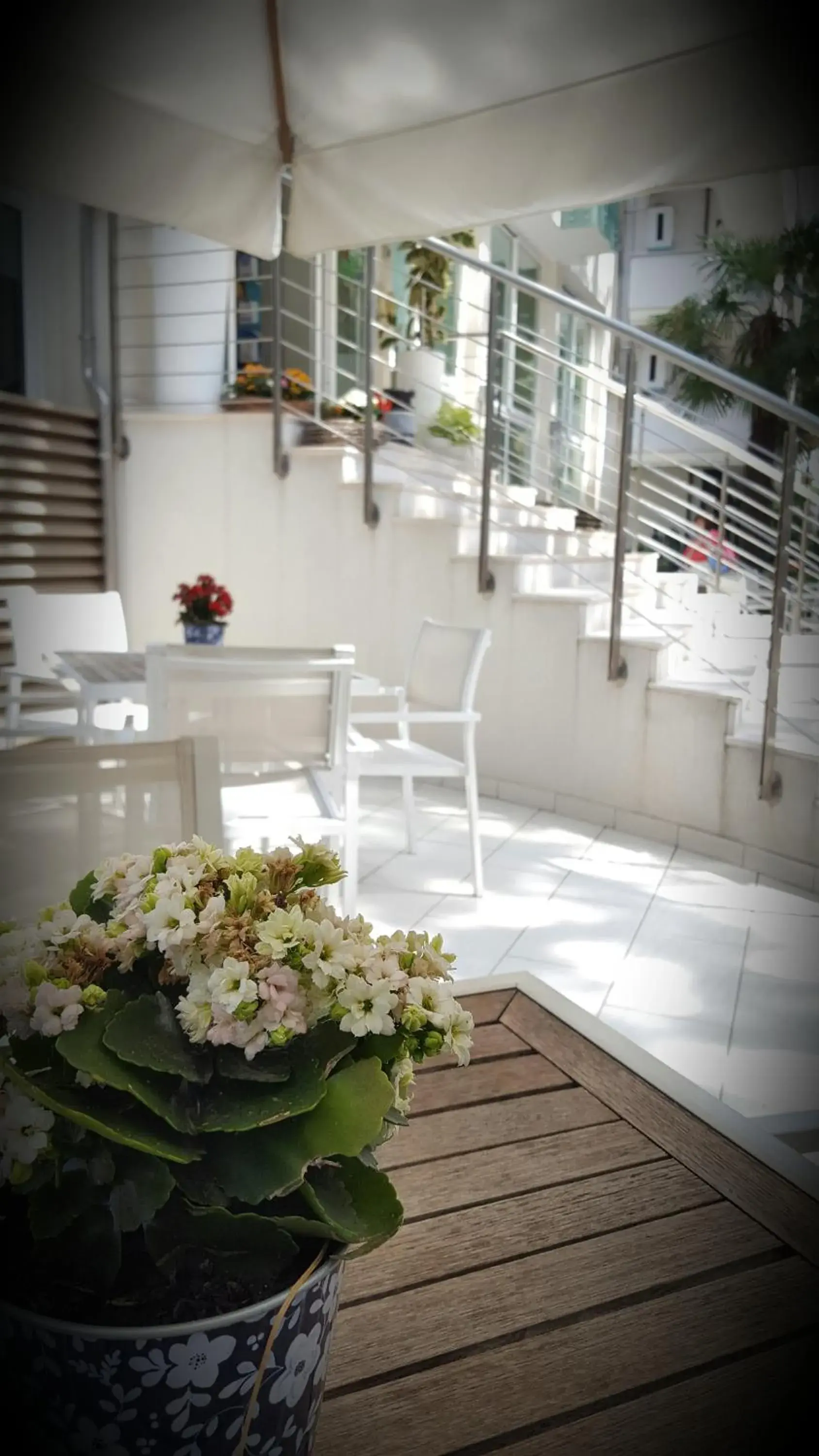 Balcony/Terrace, Patio/Outdoor Area in Hotel Calypso