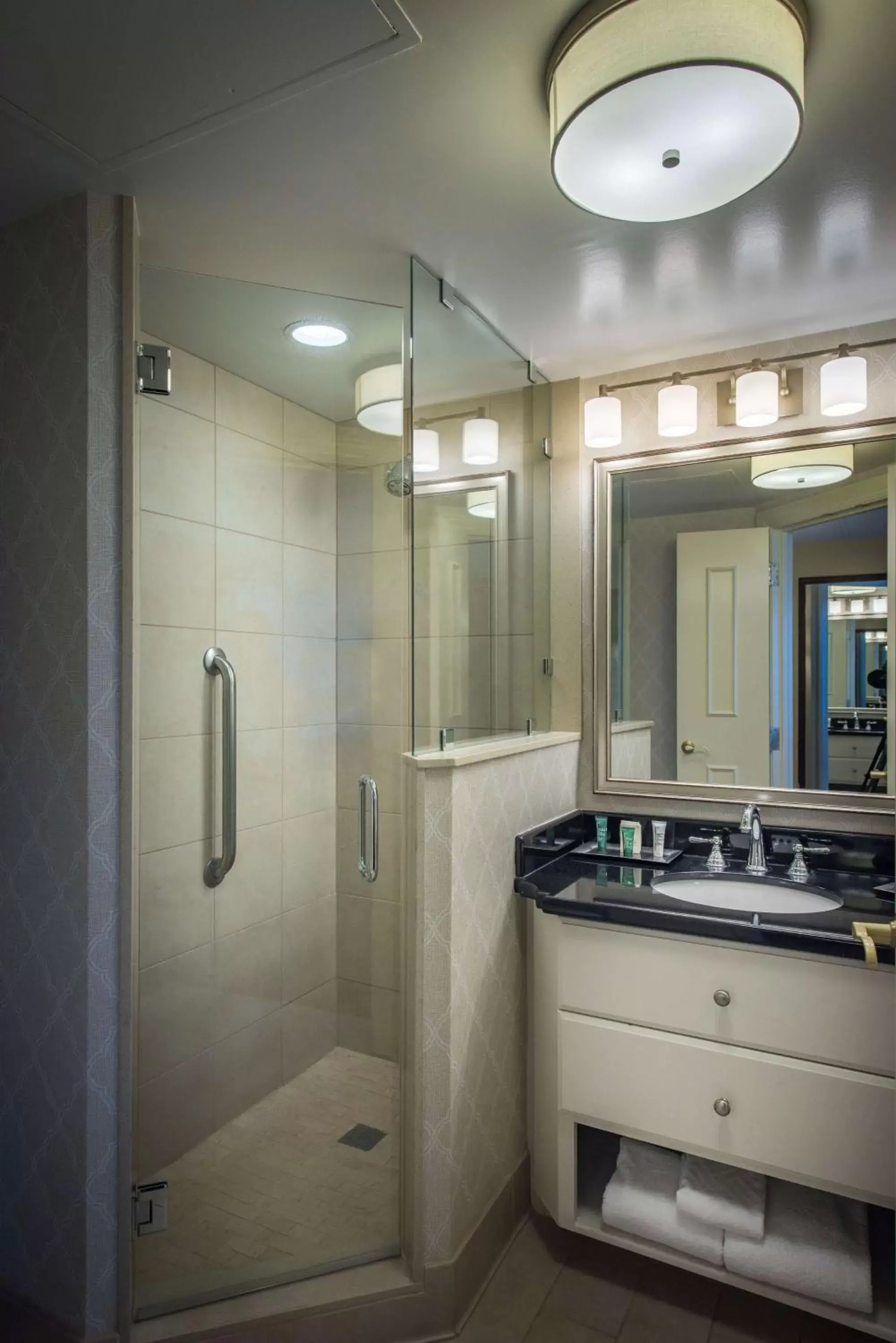 Shower, Bathroom in Hilton Baton Rouge Capitol Center