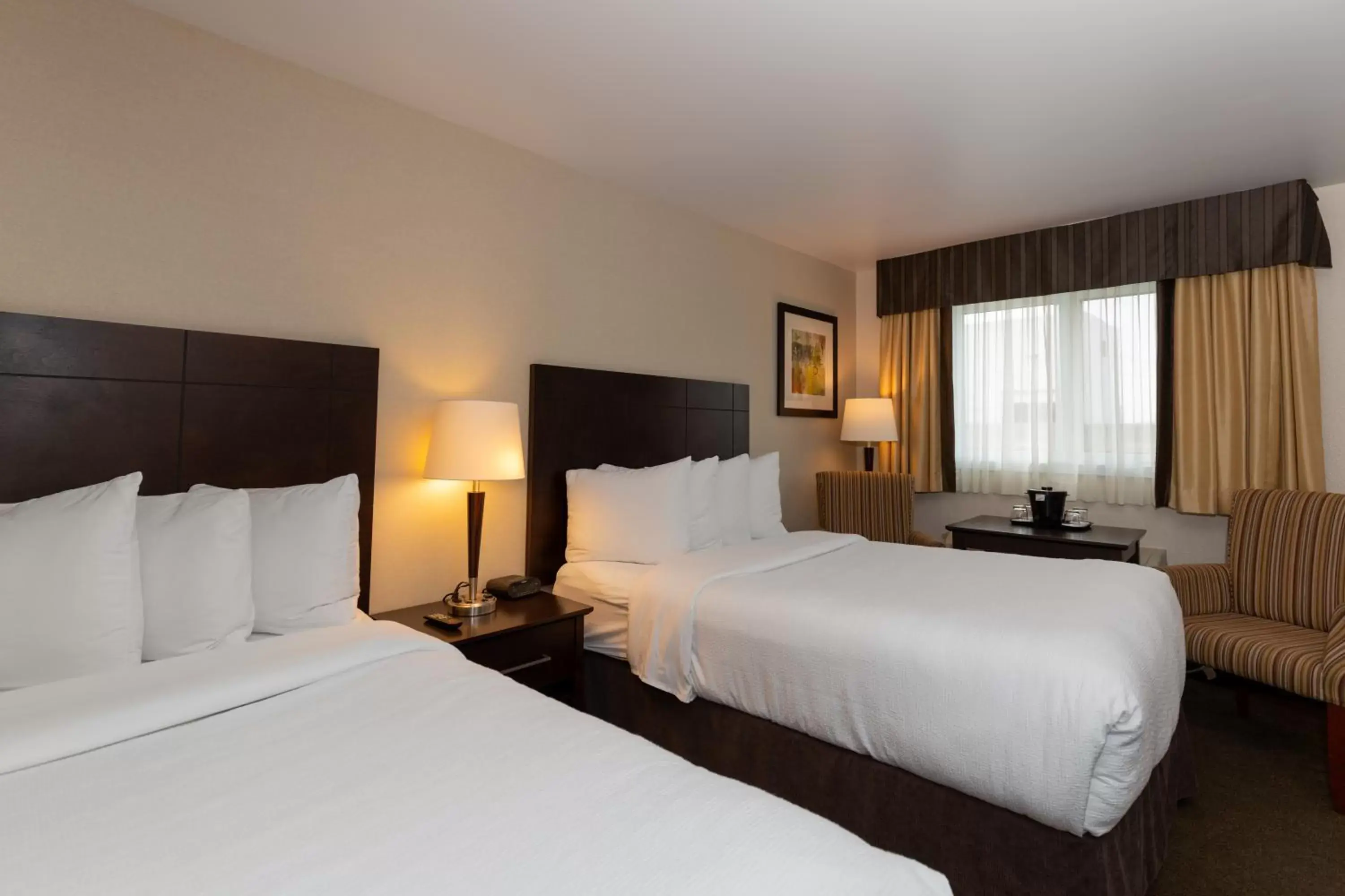 Bed in Quality Inn & Suites Bed in Quality Inn & Suites