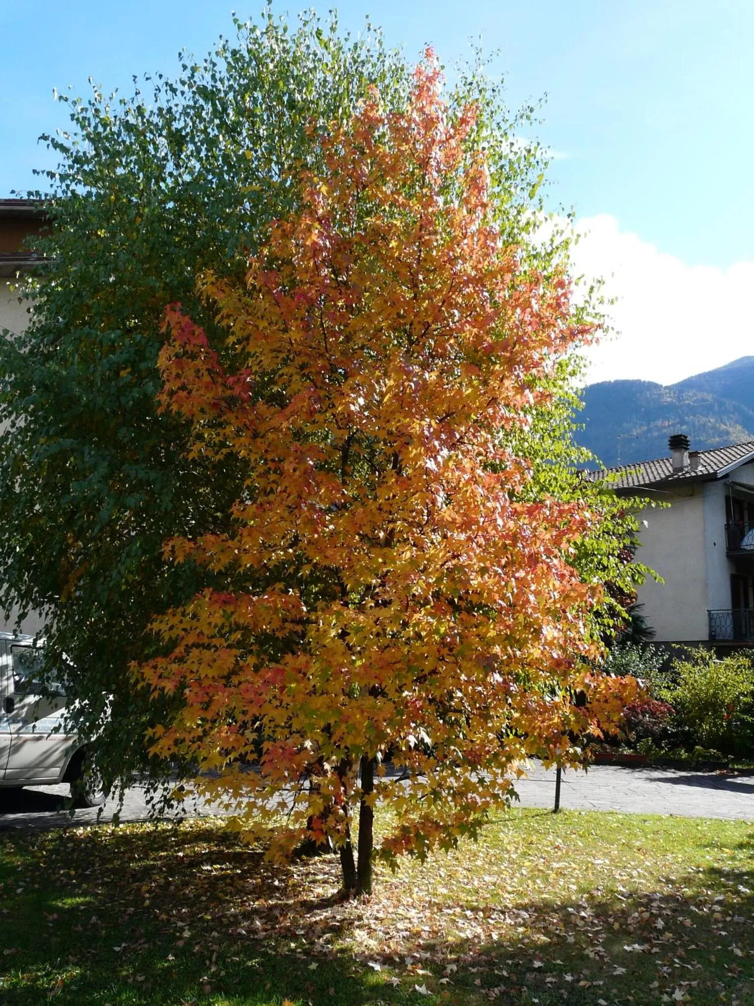 Autumn, Garden in La casa di Clara