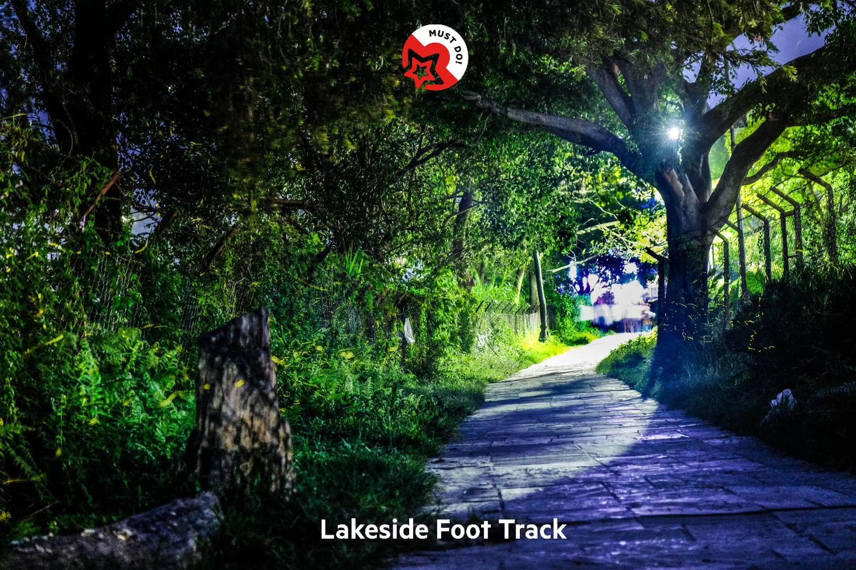 Garden in Hotel Fewa Corner & Restro