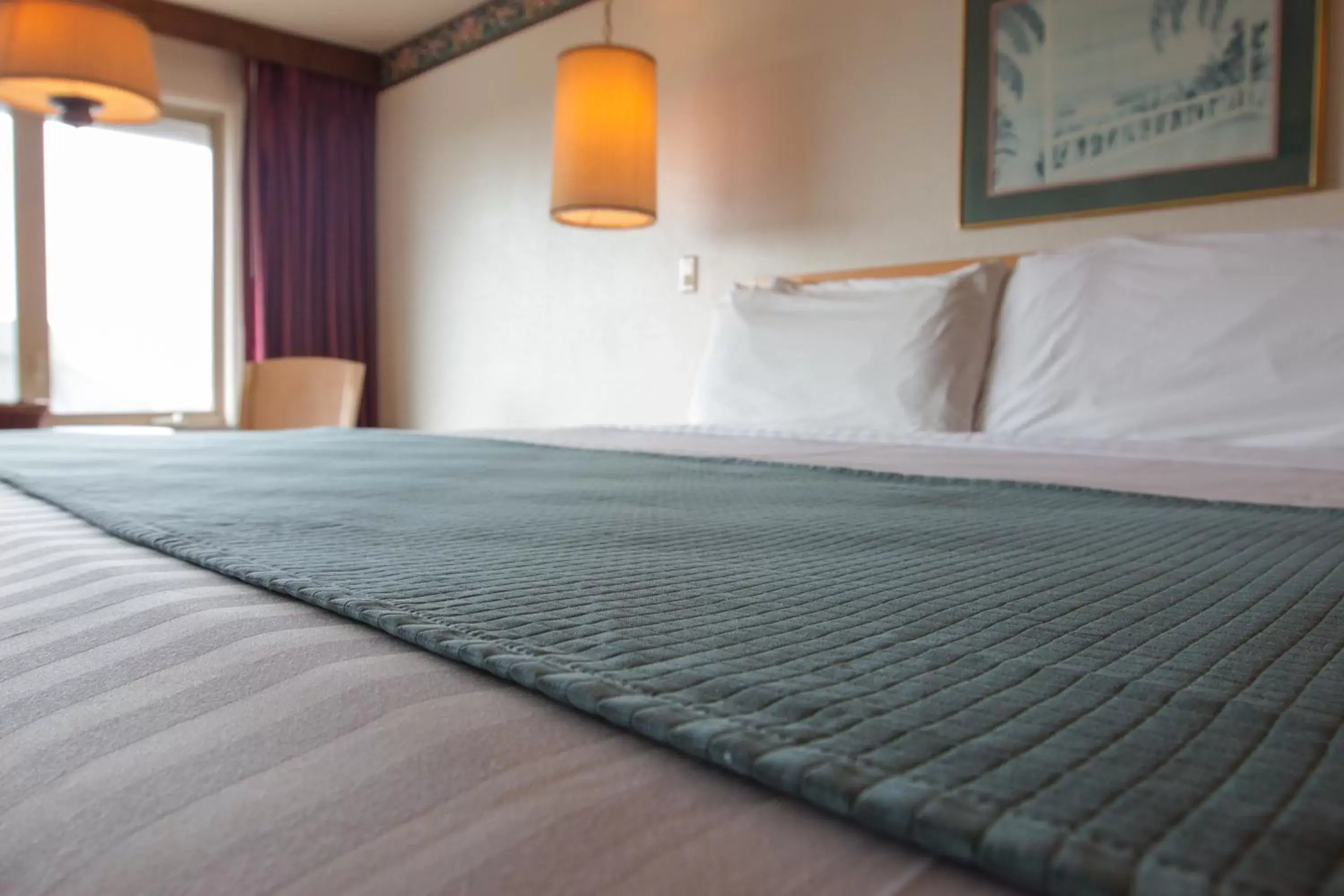 Day, Bed in Hi Tide Oceanfront Inn Day, Bed in Hi Tide Oceanfront Inn