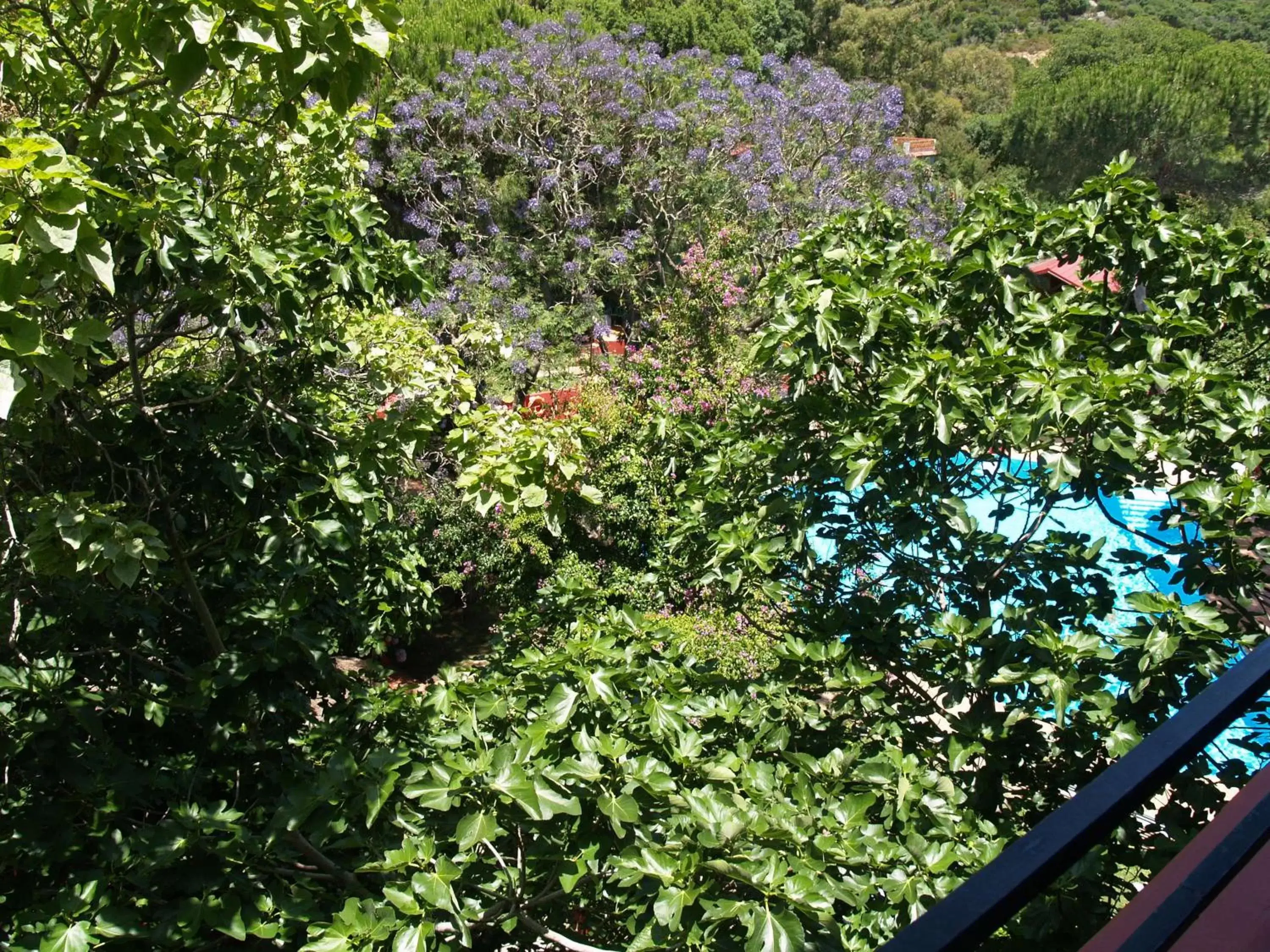 Garden in Mesón de Sancho