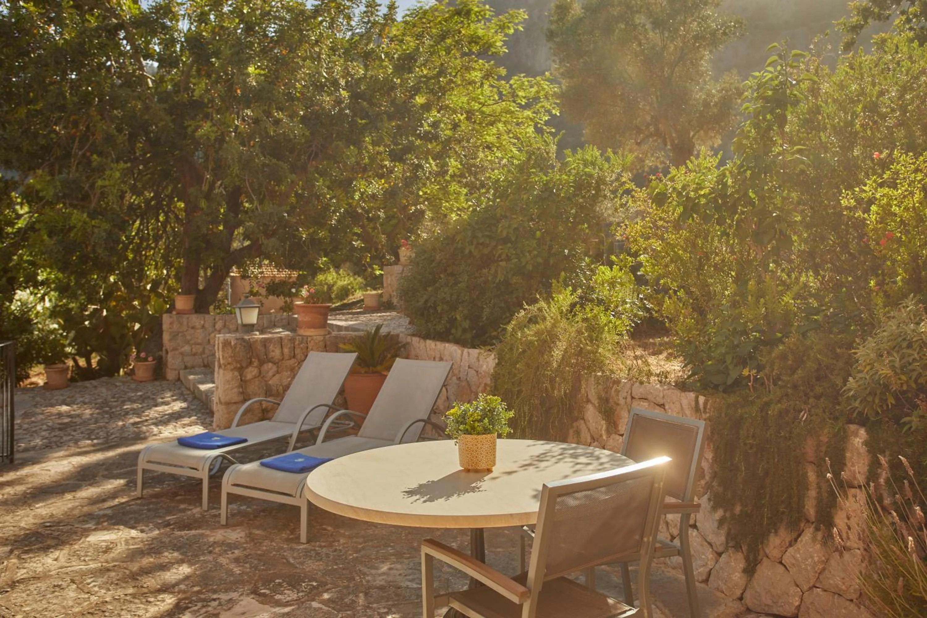 Junior Suite with Terrace - single occupancy in Agroturismo Alquería Blanca