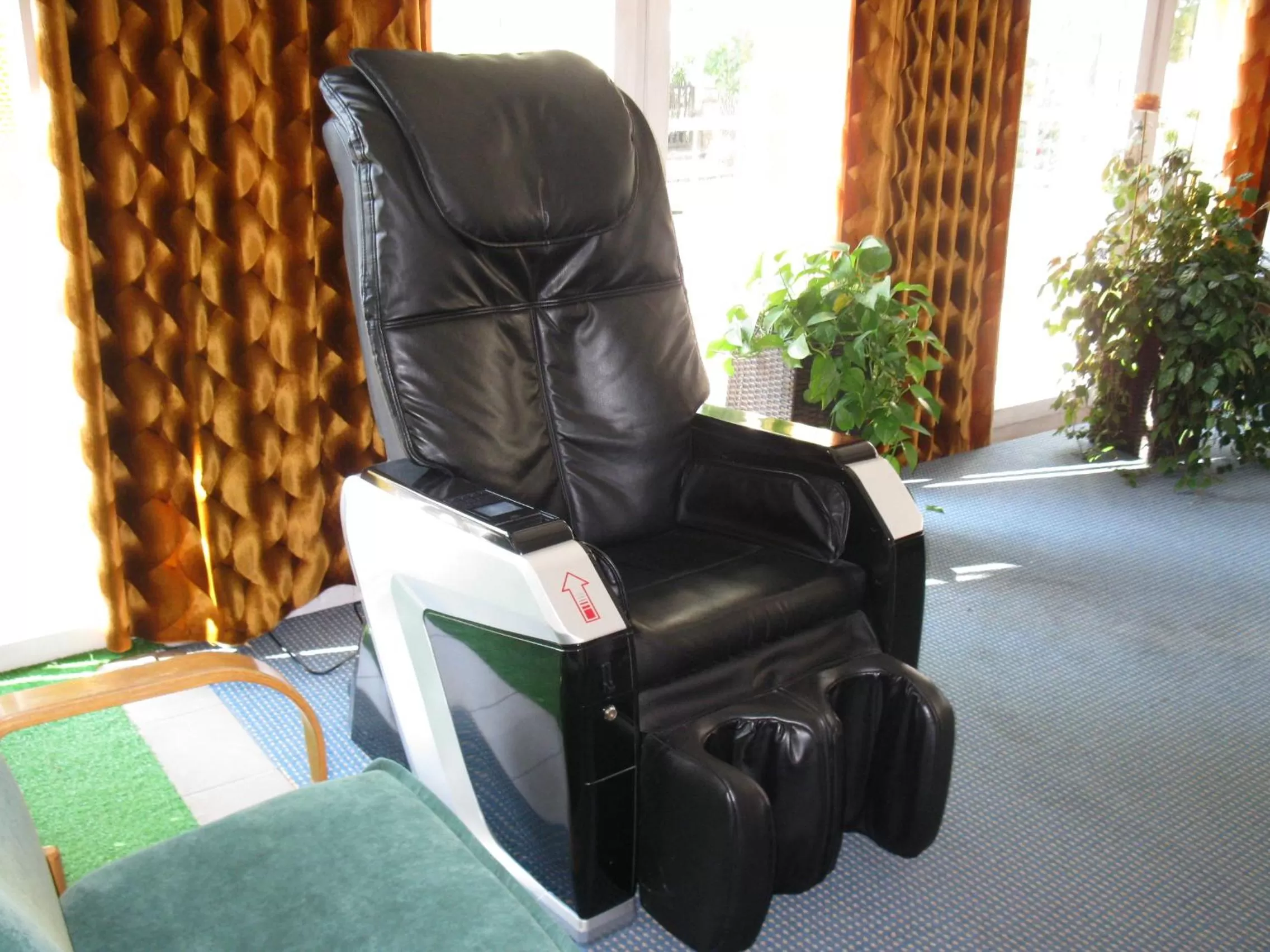 Seating Area in Hotel Alga