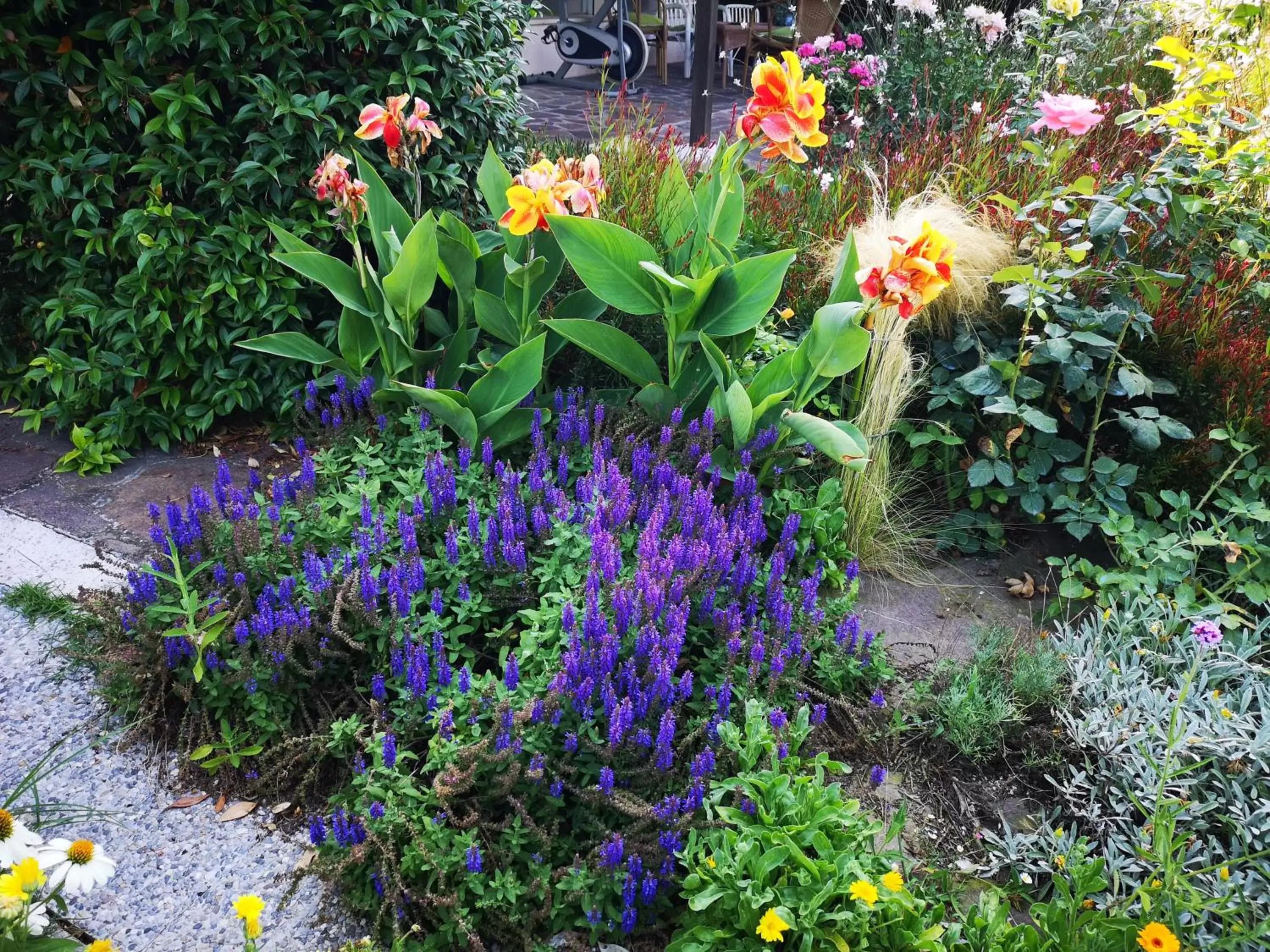 Summer, Garden in Al Villino del Sole